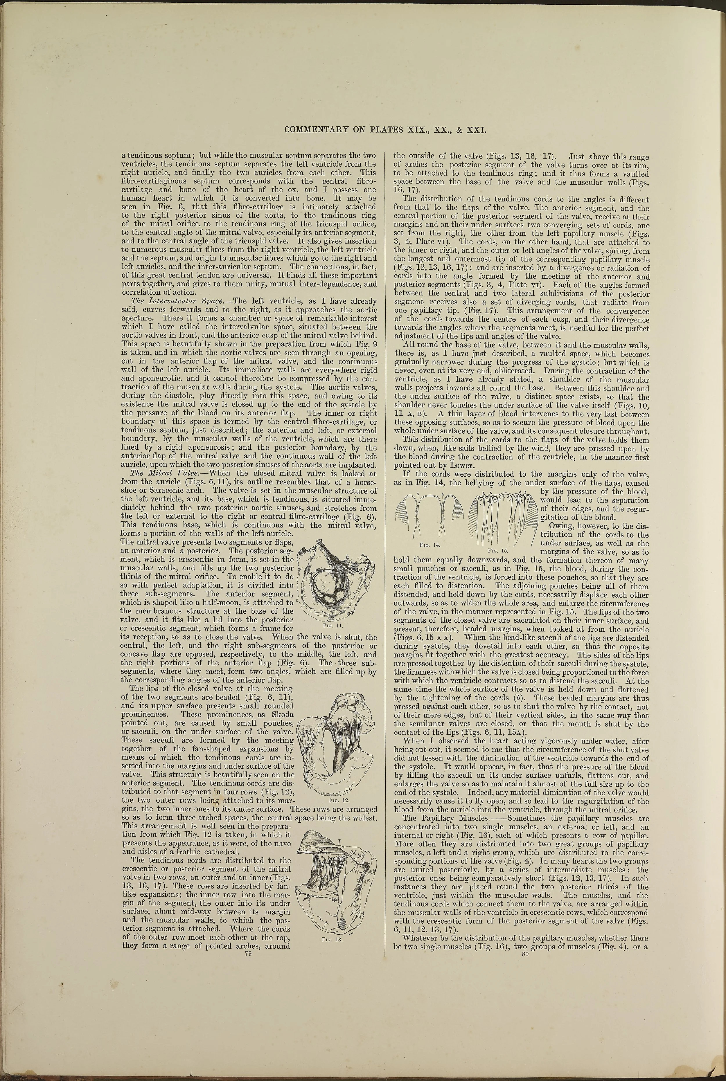 RM0162_64.jpg