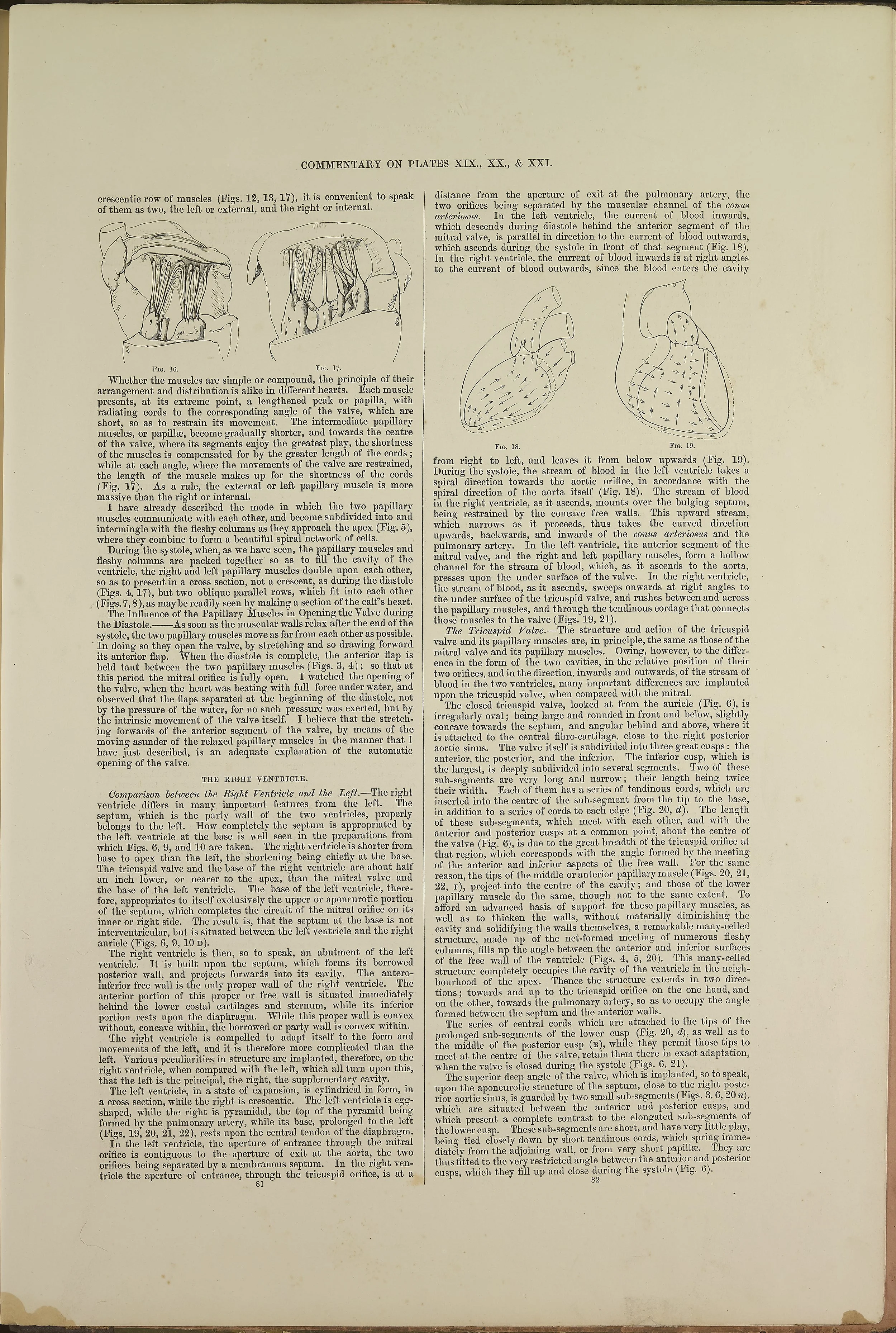 RM0162_66.jpg