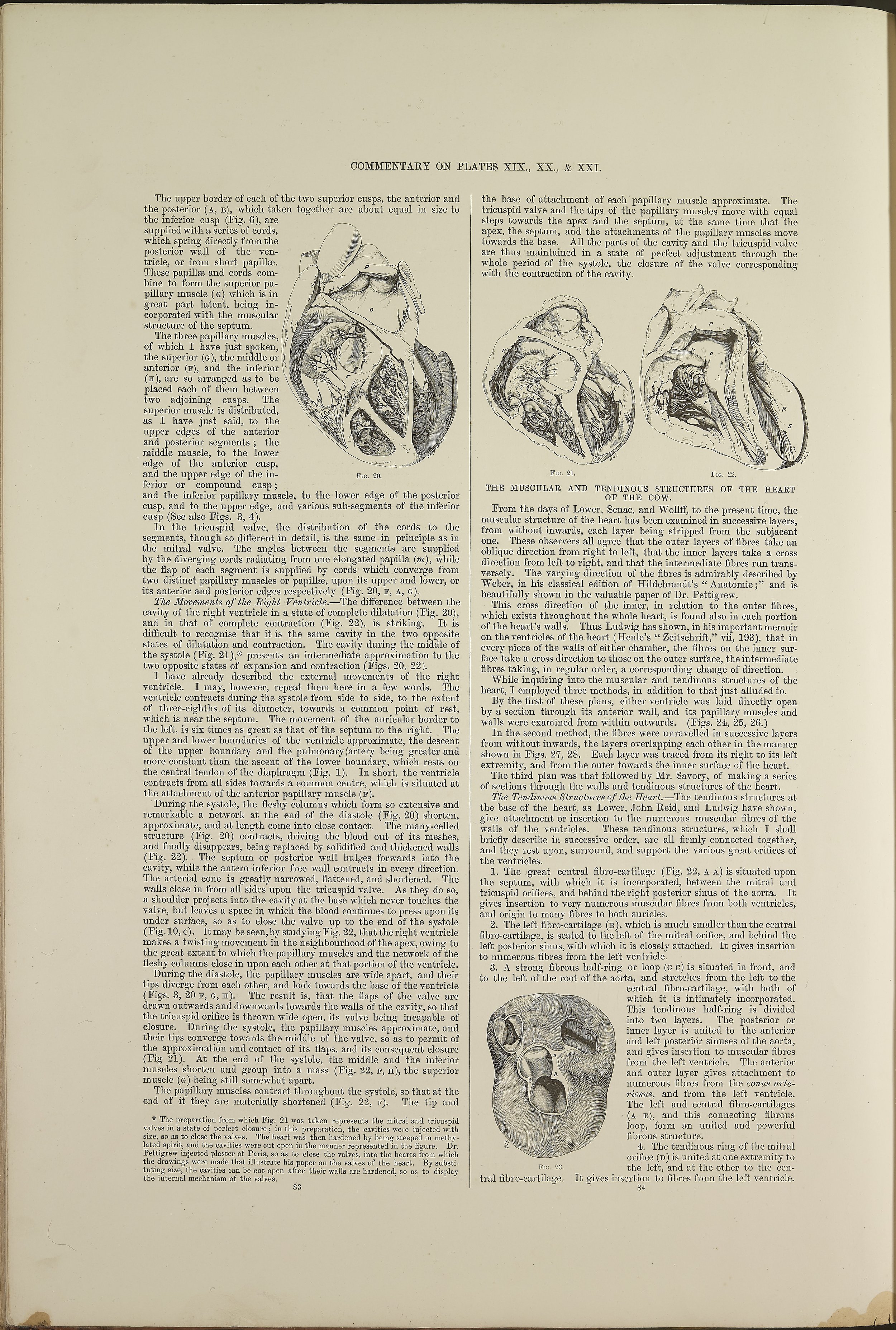 RM0162_67.jpg