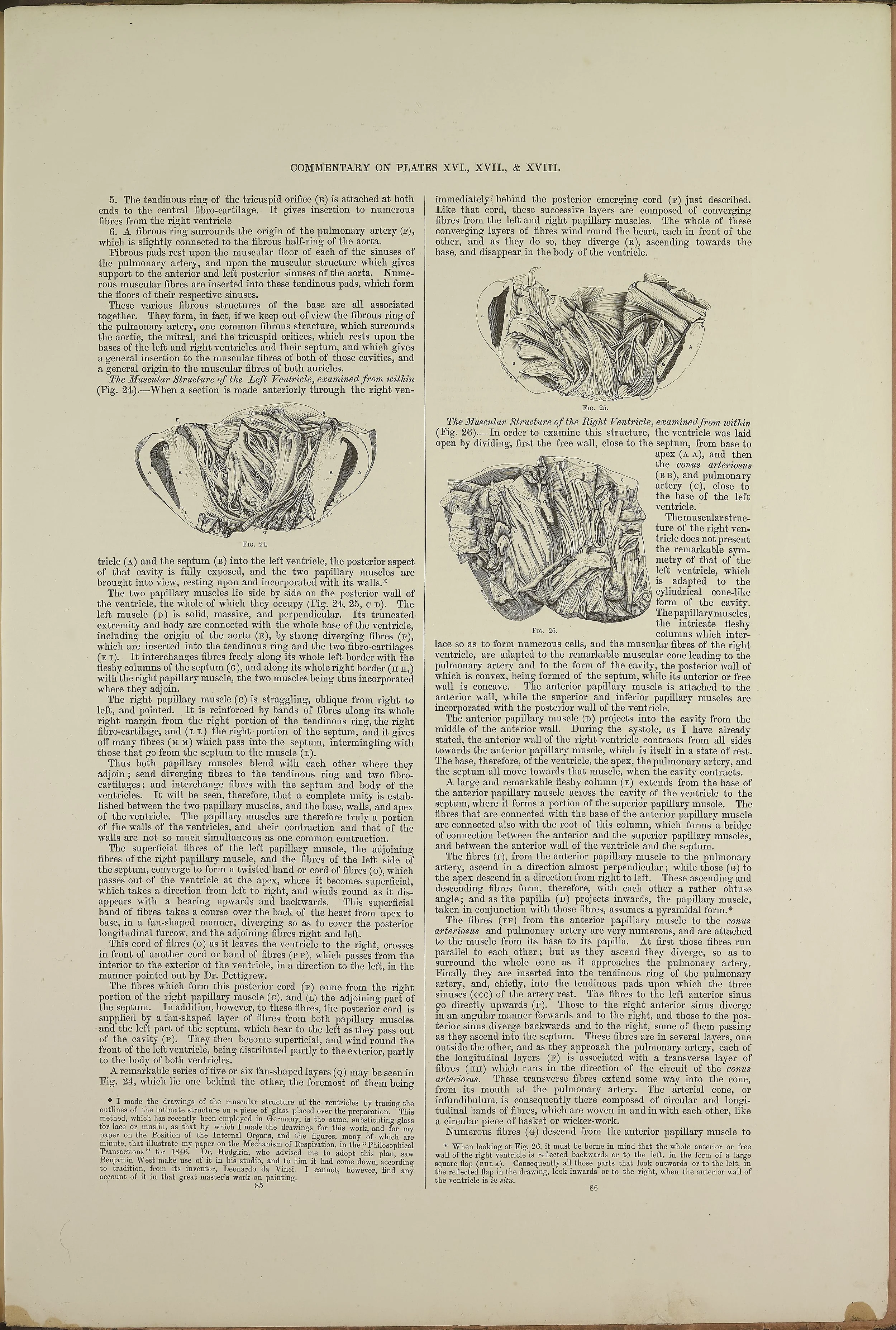 RM0162_68.jpg