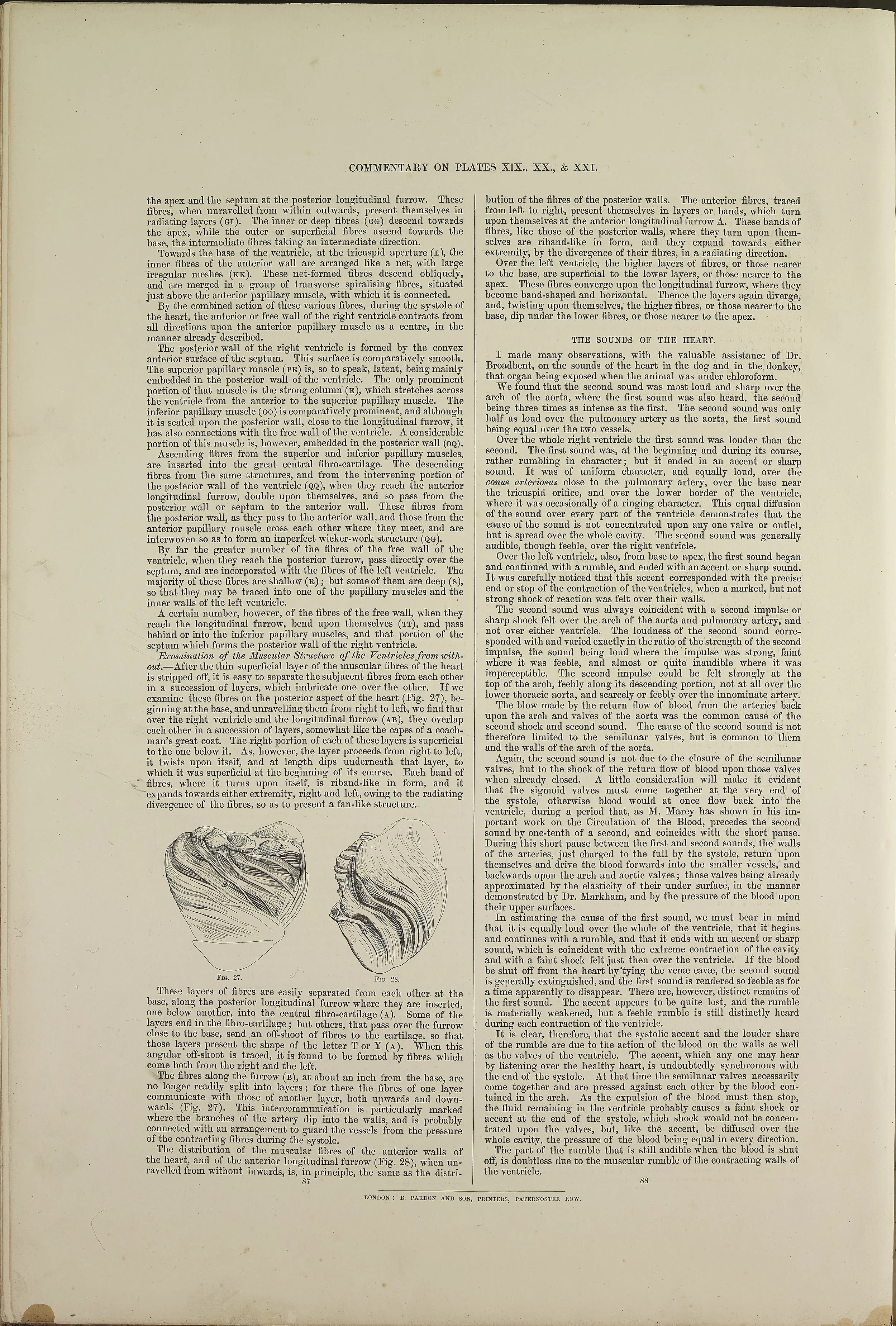 RM0162_69.jpg