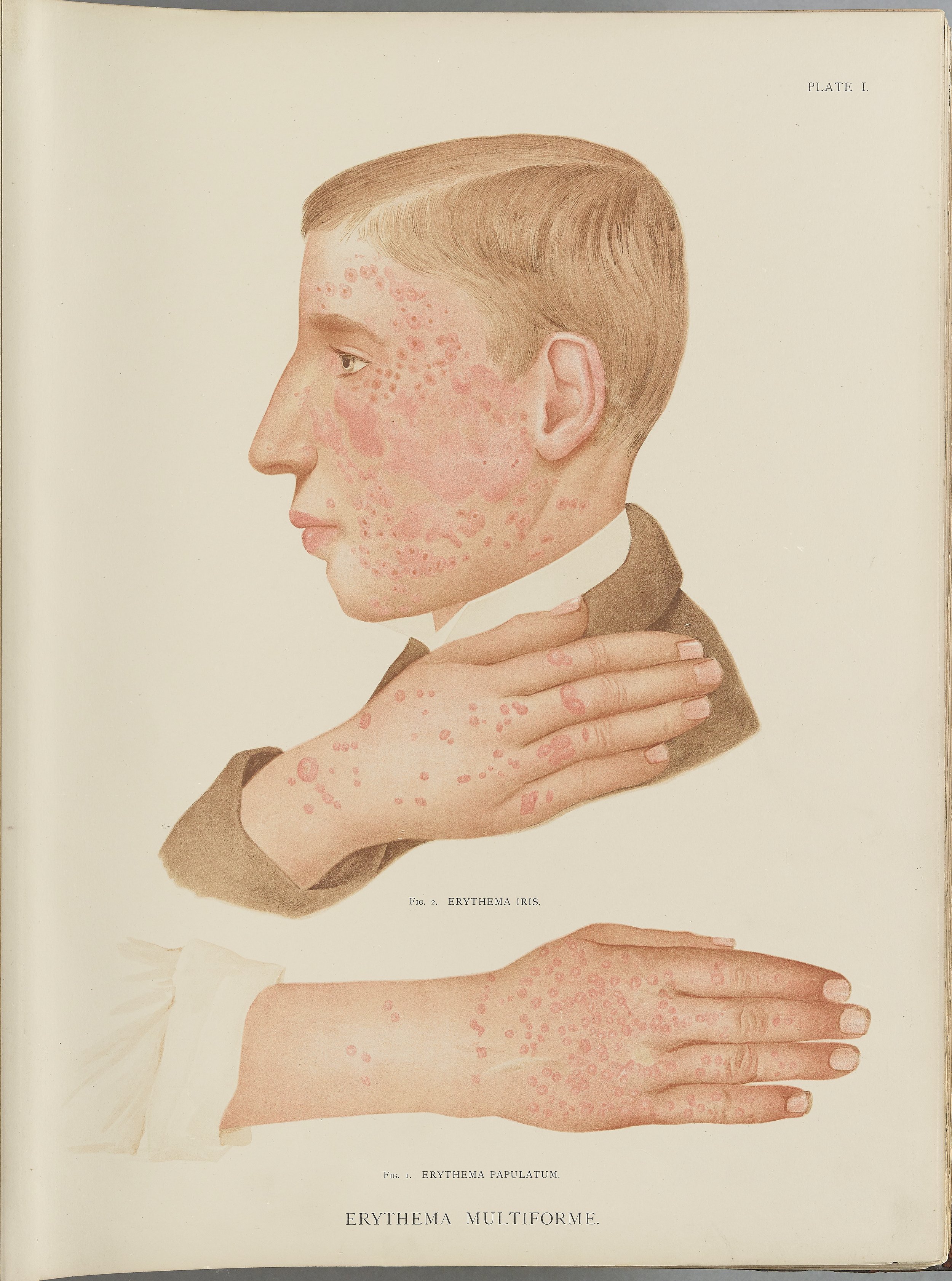 RM0164(Vol.i)_09.jpg