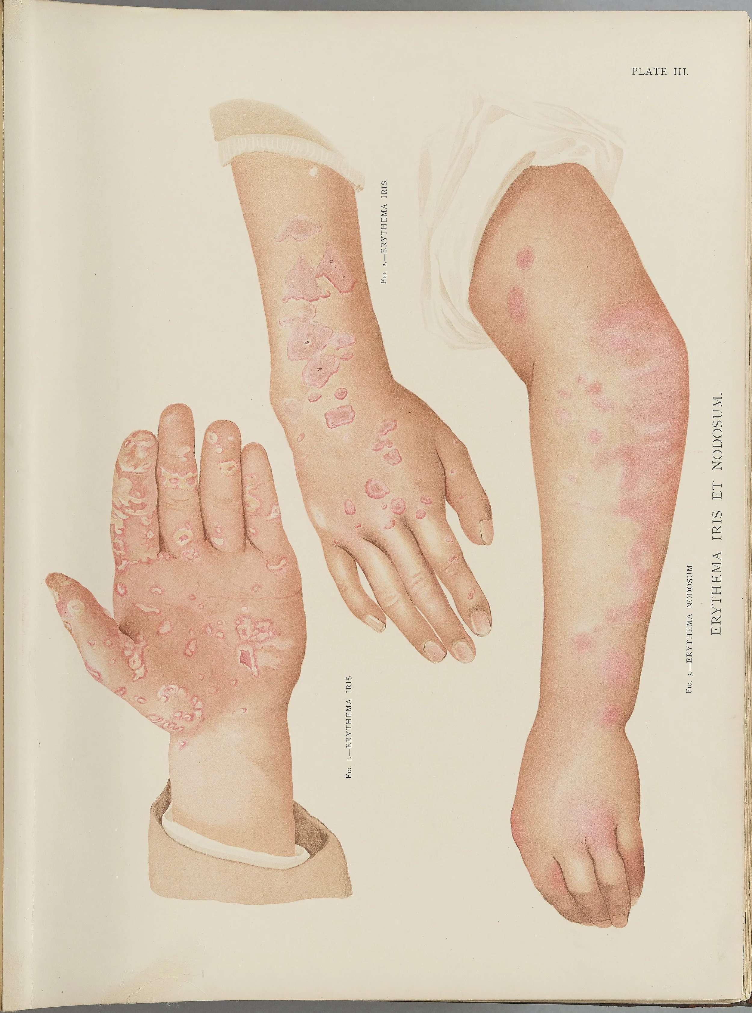 RM0164(Vol.i)_14.jpg