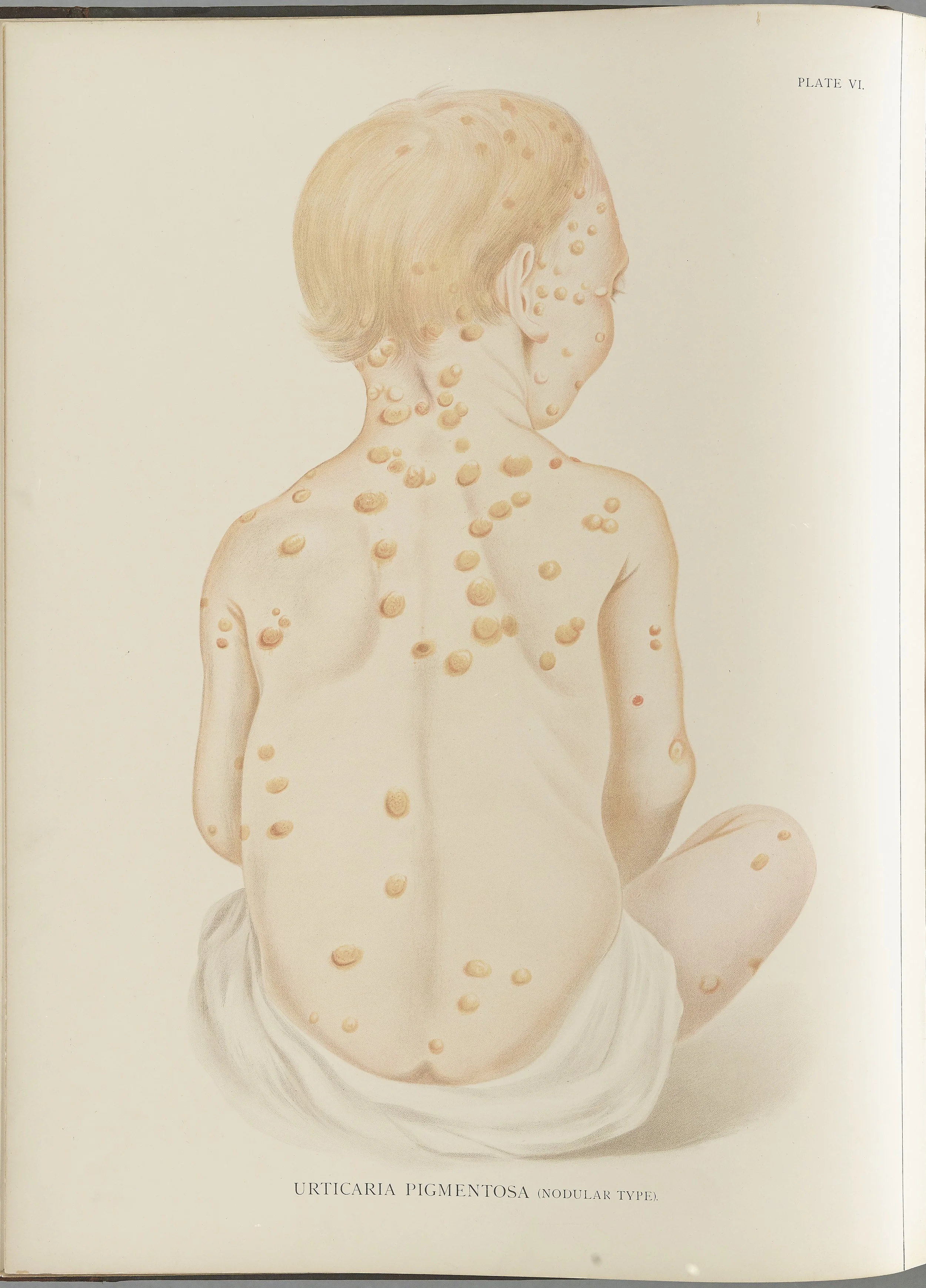 RM0164(Vol.i)_21.jpg