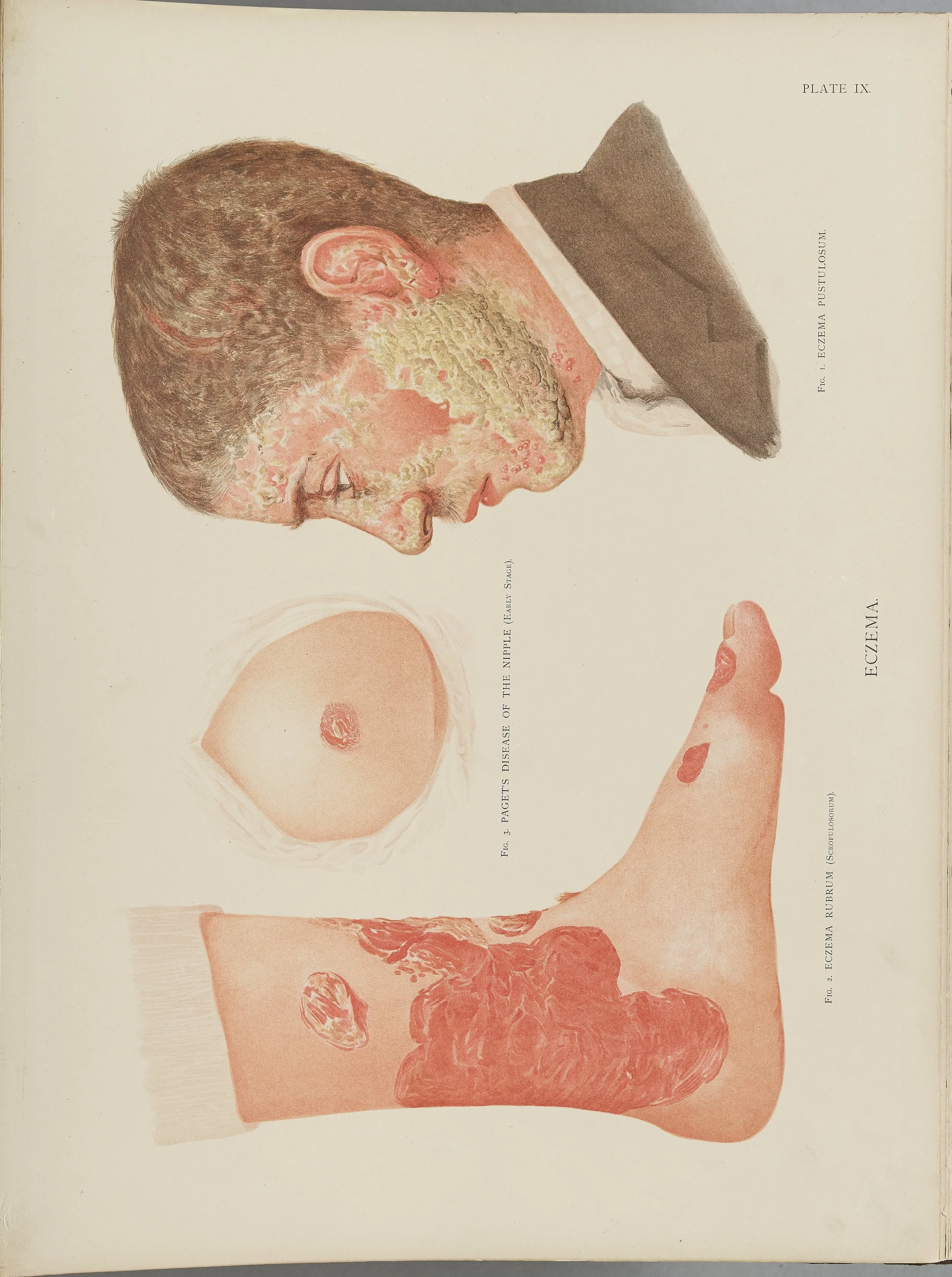 RM0164(Vol.i)_29.jpg