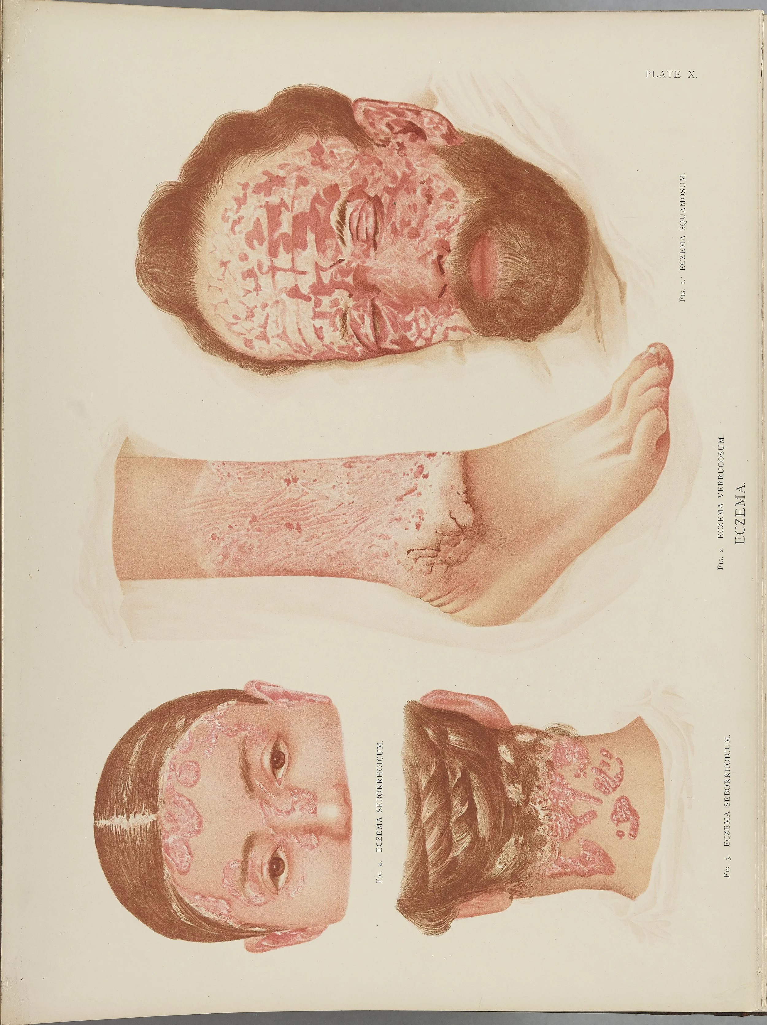 RM0164(Vol.i)_31.jpg