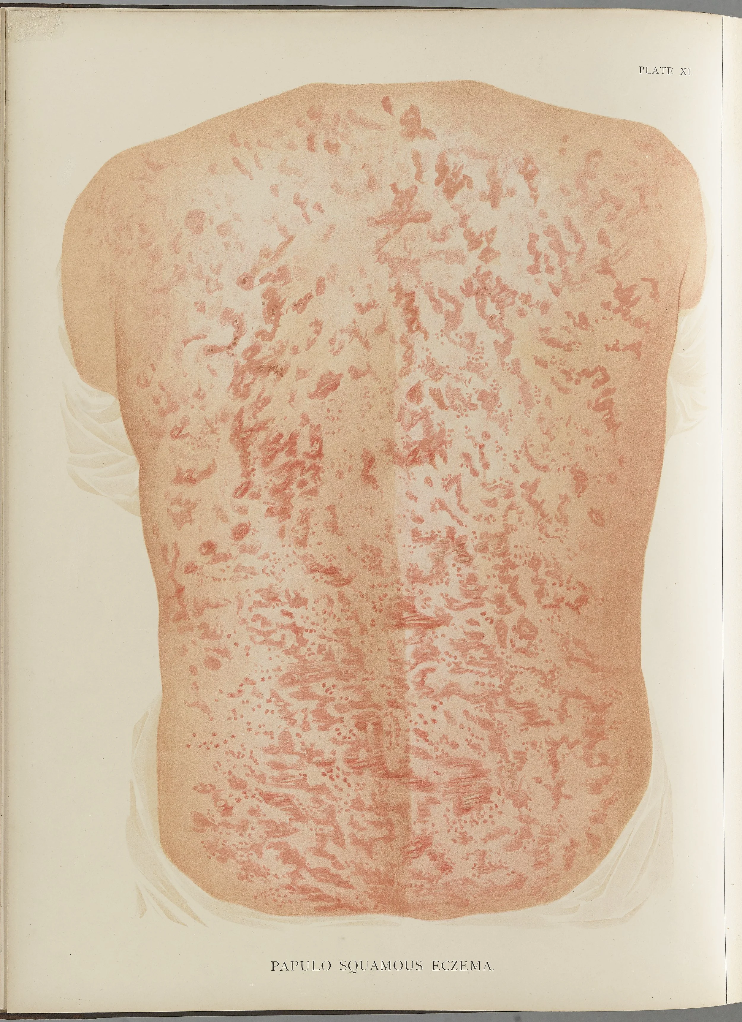 RM0164(Vol.i)_32.jpg