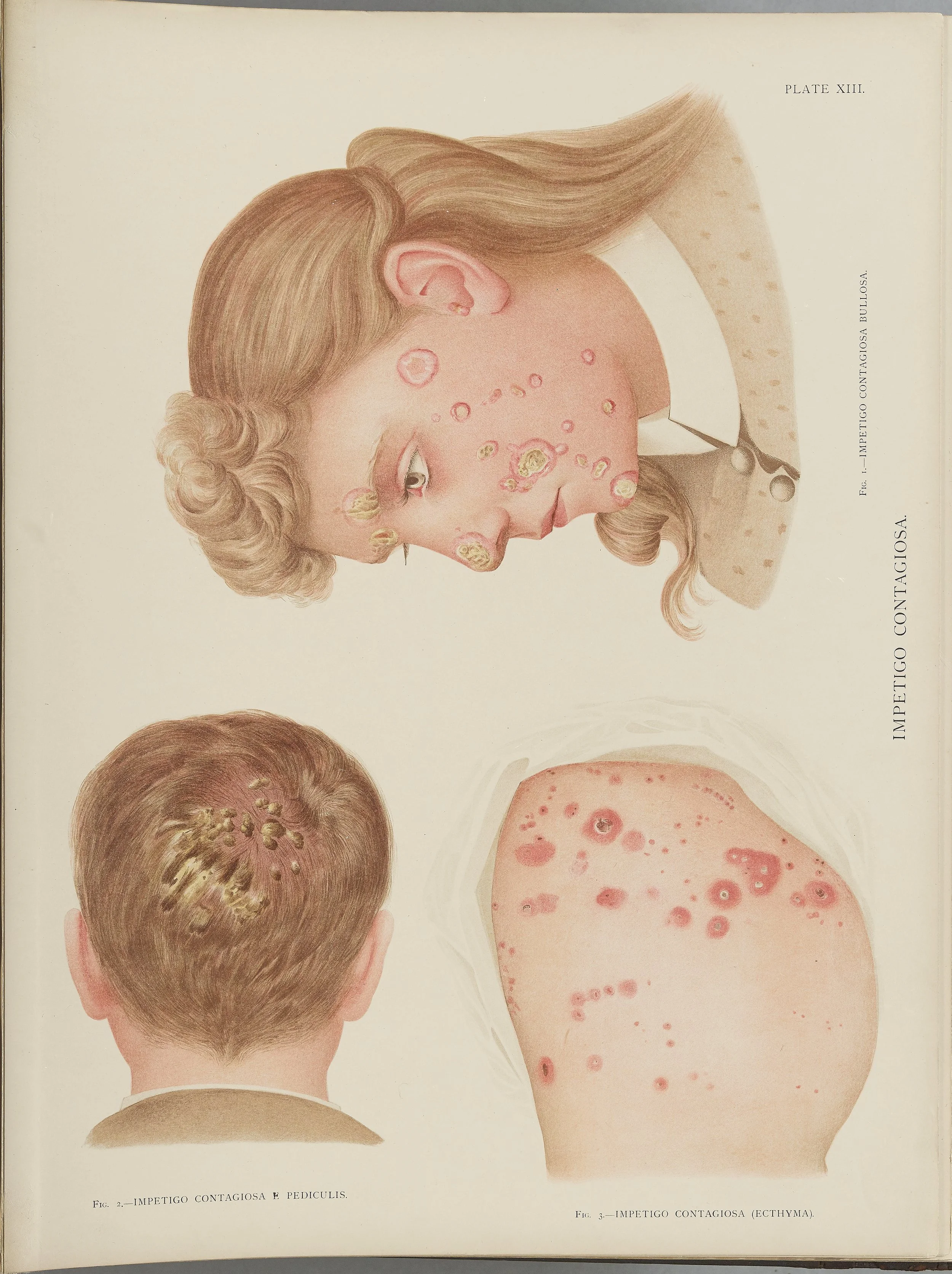RM0164(Vol.i)_39.jpg