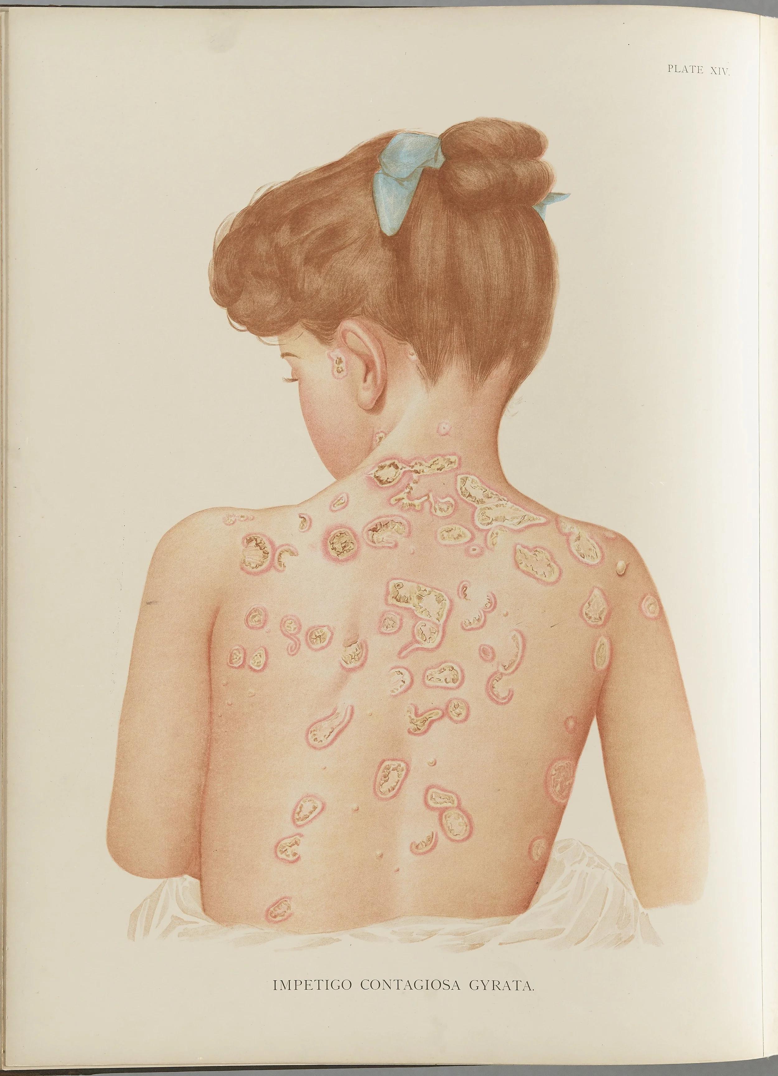 RM0164(Vol.i)_40.jpg
