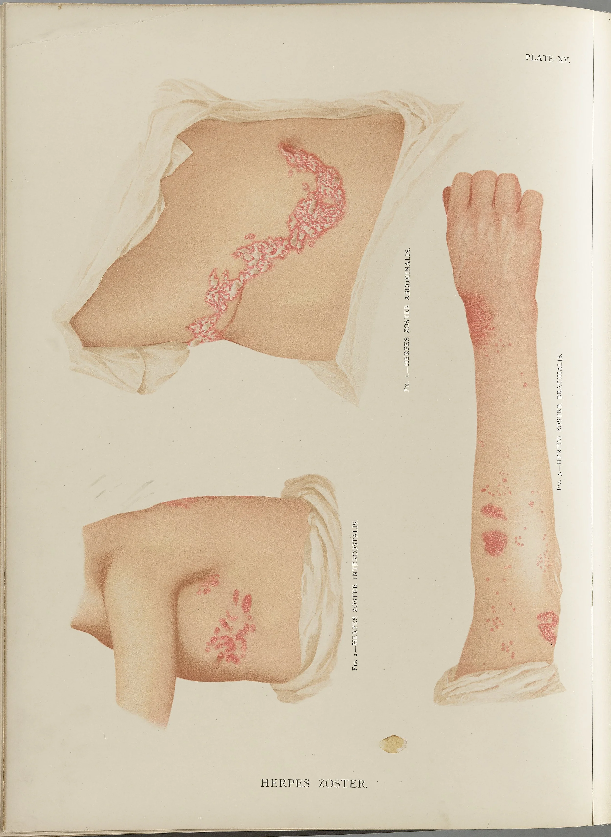 RM0164(Vol.i)_42.jpg