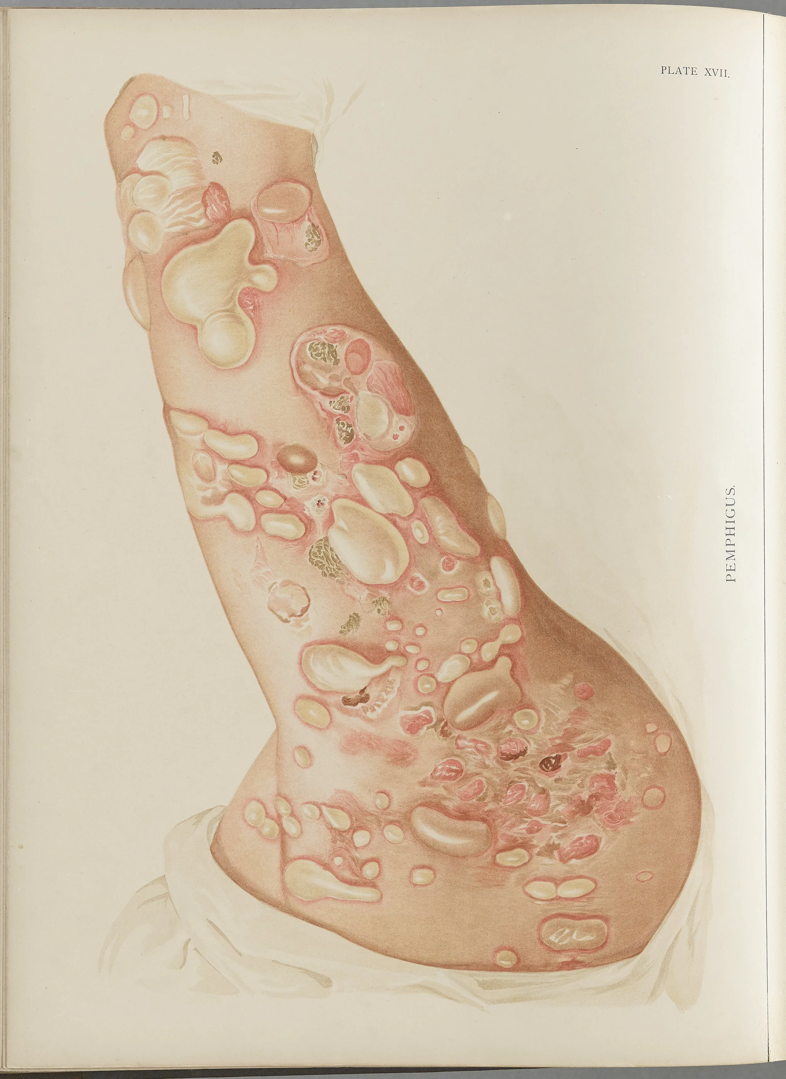 RM0164(Vol.i)_46.jpg