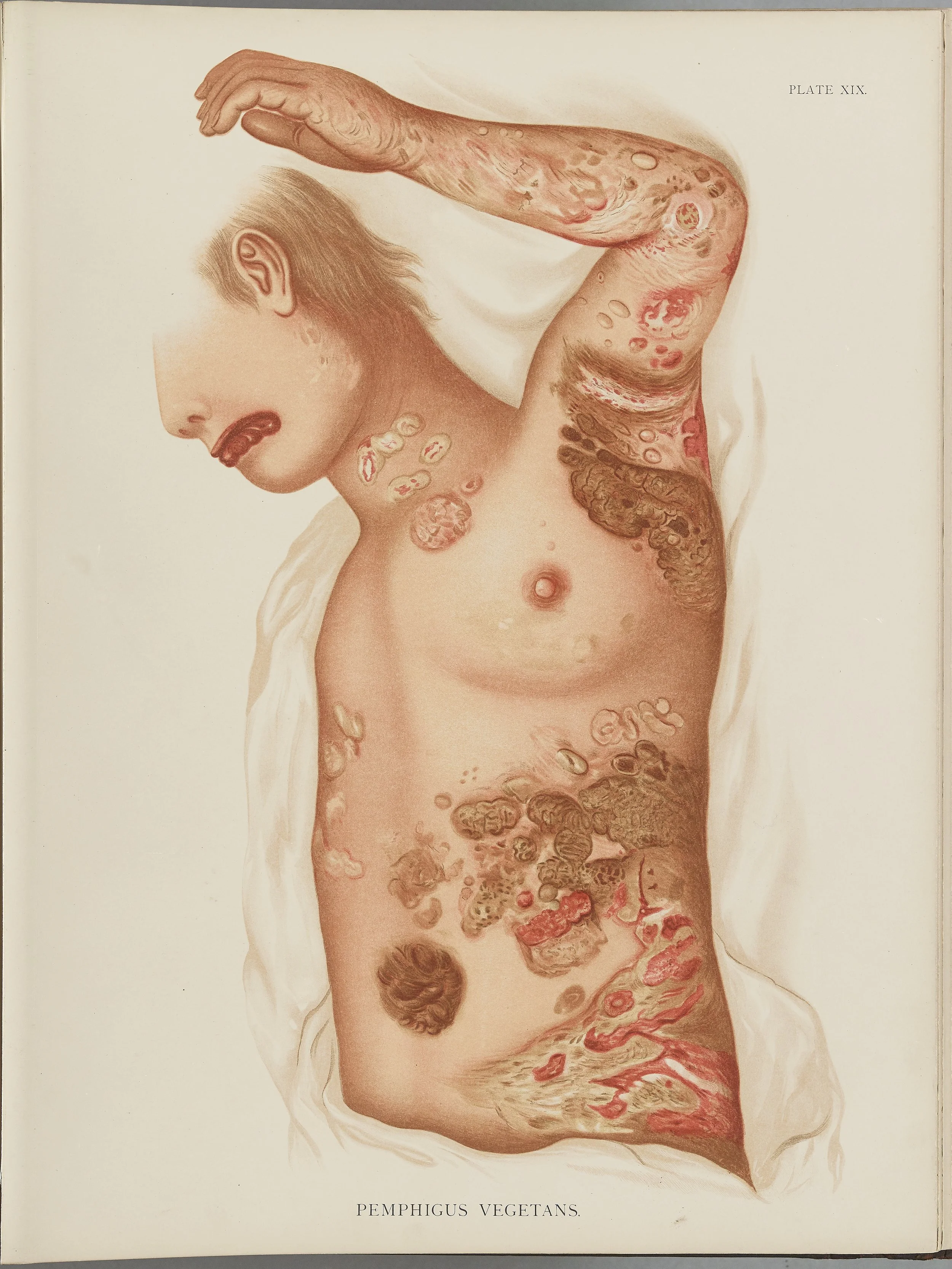 RM0164(Vol.i)_55.jpg