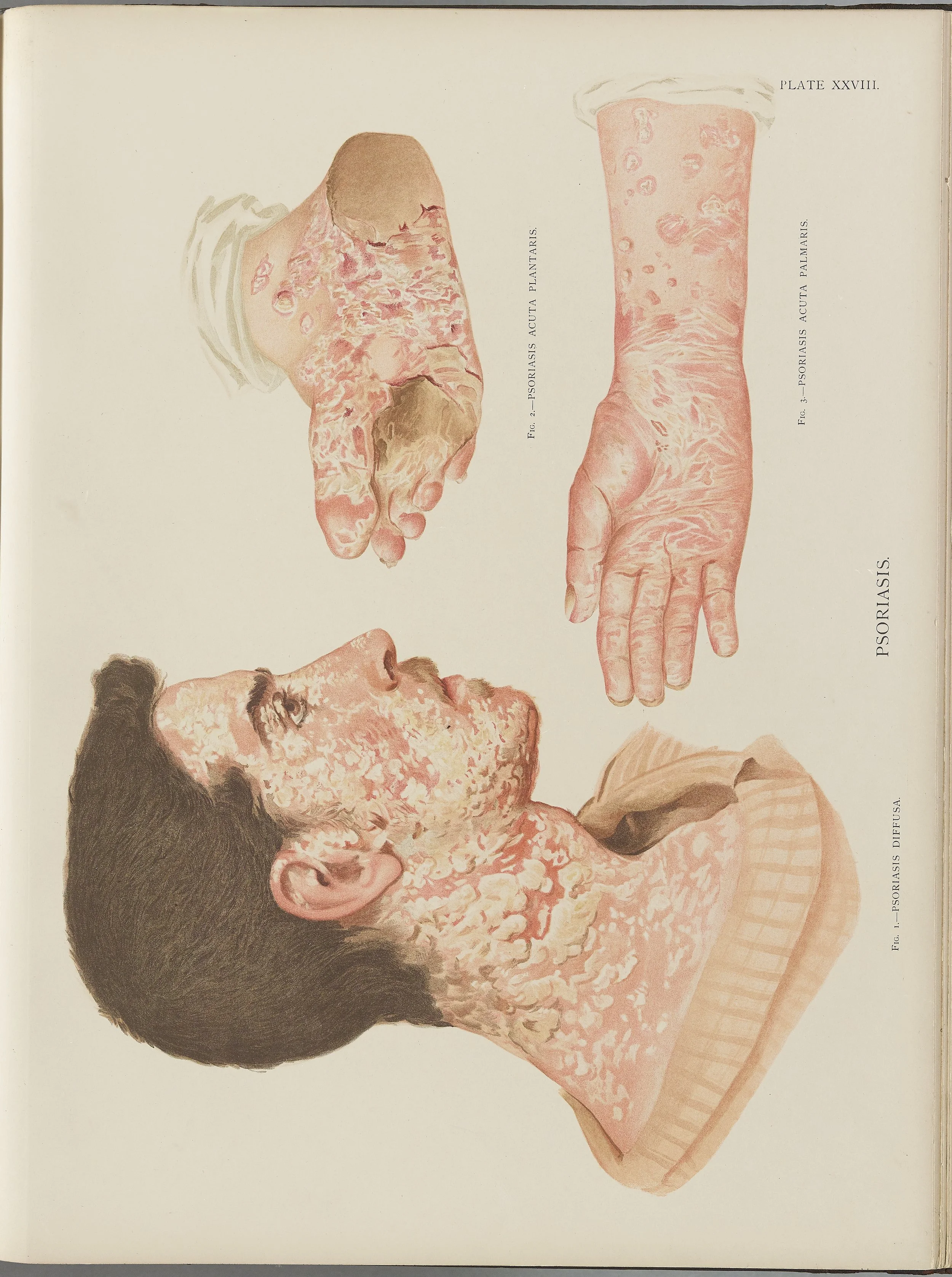 RM0164(Vol.i)_79.jpg