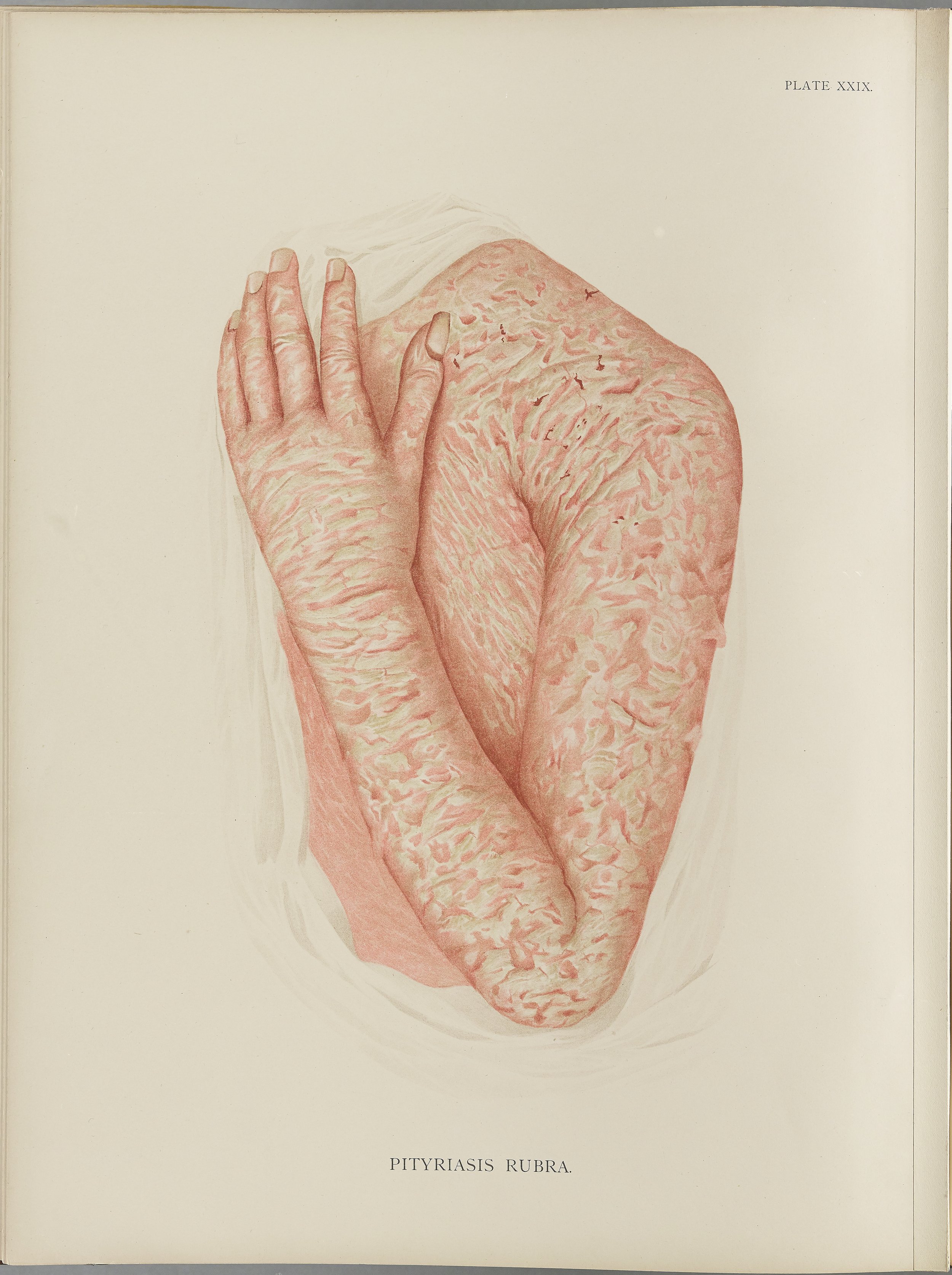 RM0164(Vol.i)_80.jpg