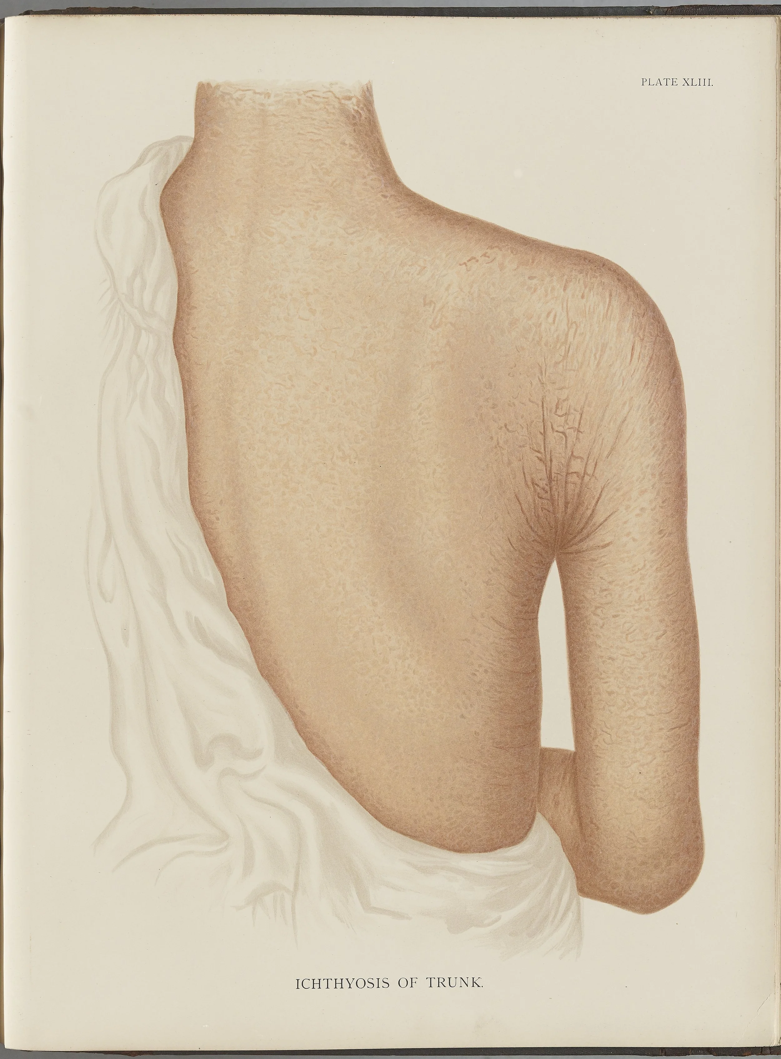 RM0164(Vol.i)_121.jpg