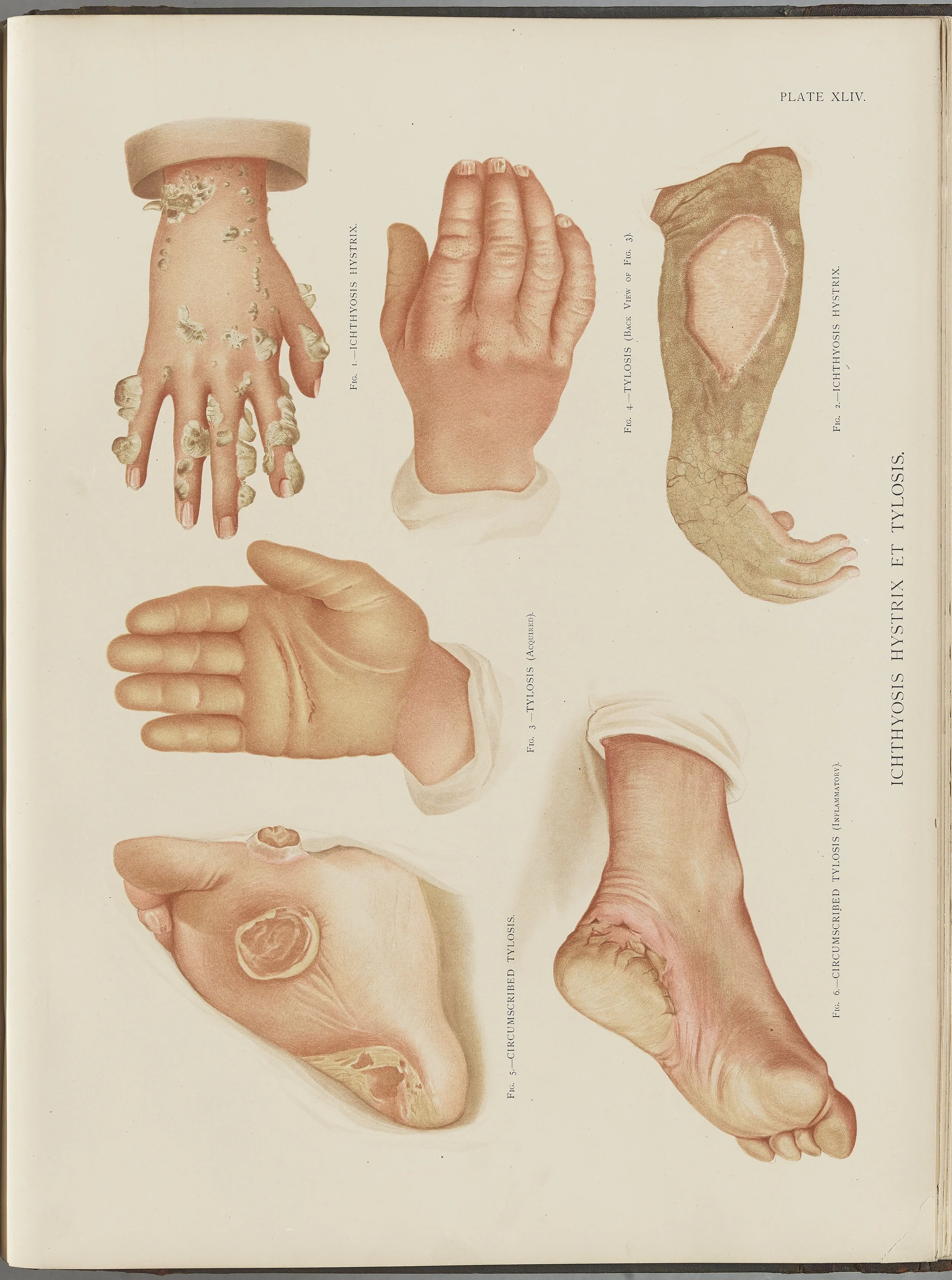 RM0164(Vol.i)_124.jpg