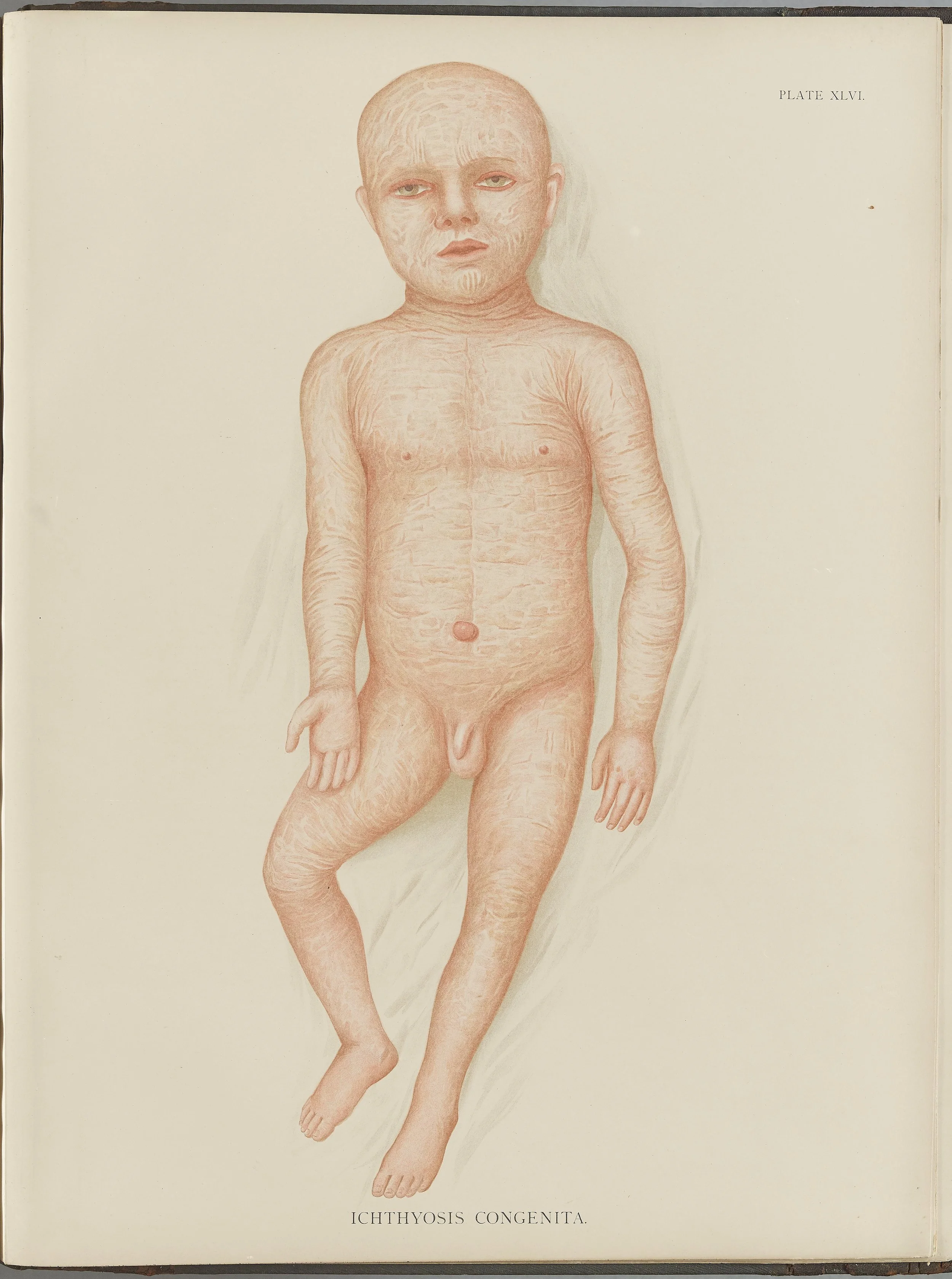 RM0164(Vol.i)_129.jpg