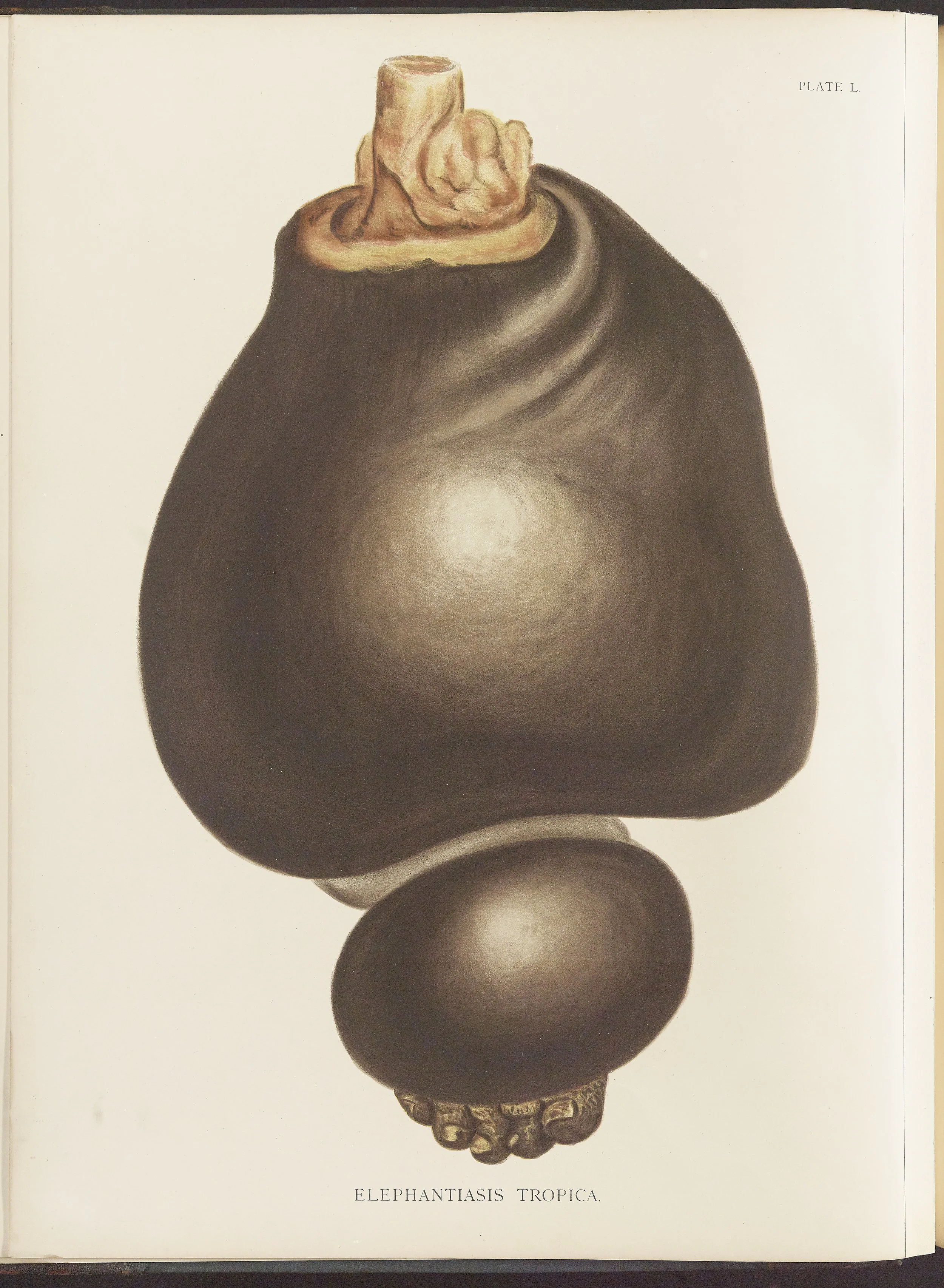 RM0164(Vol.ii)_14.jpg