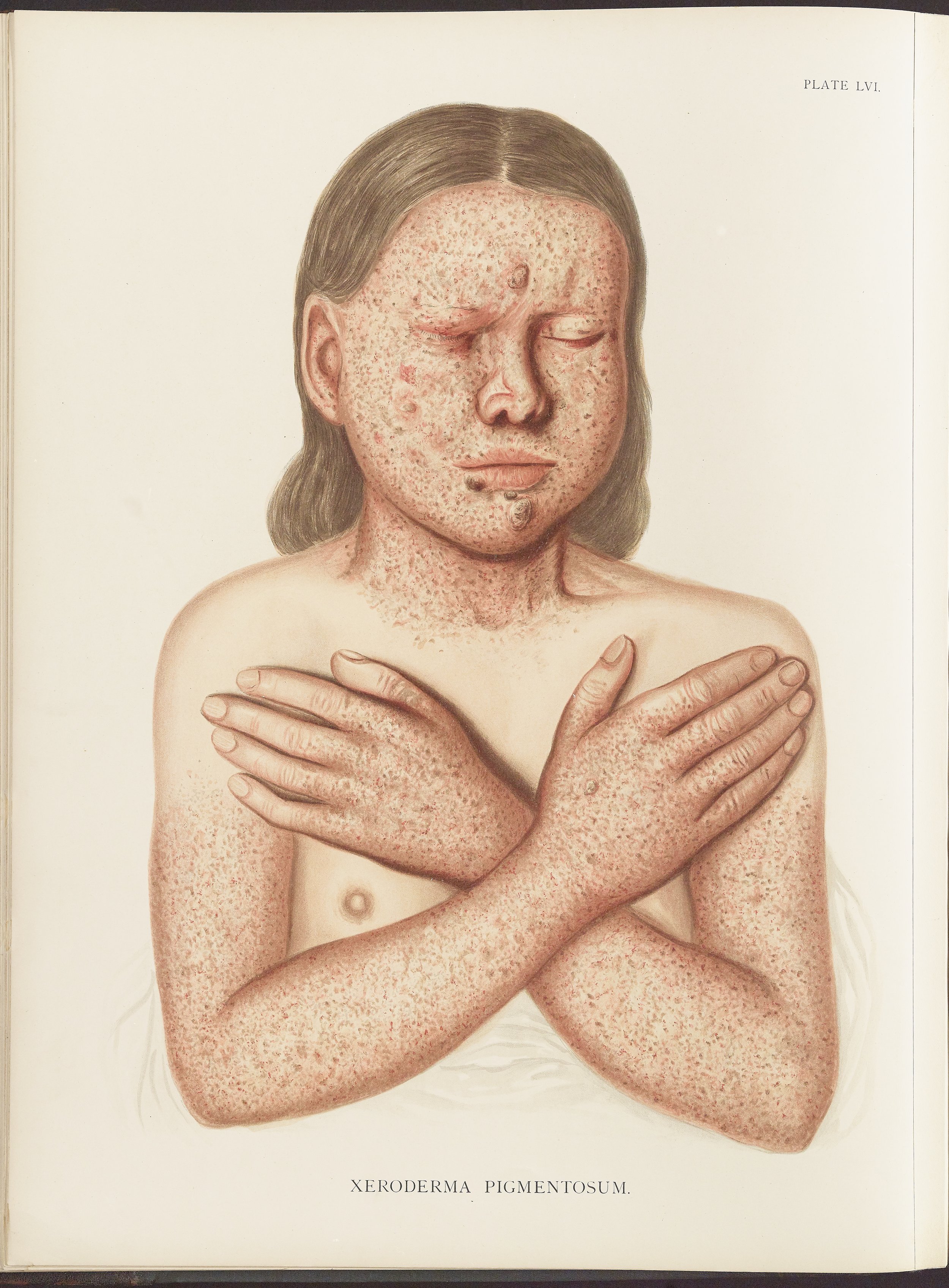 RM0164(Vol.ii)_28.jpg