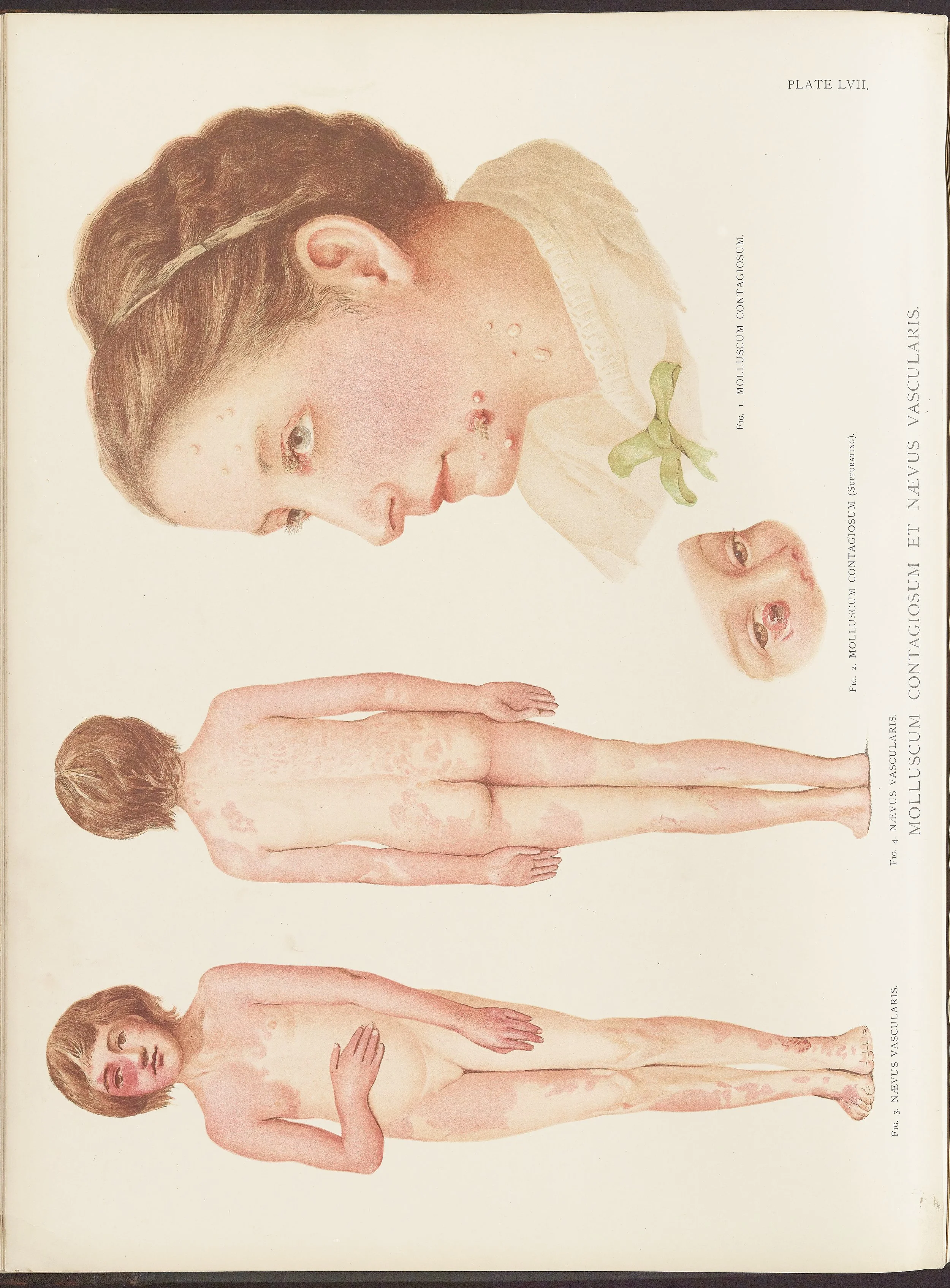 RM0164(Vol.ii)_32.jpg