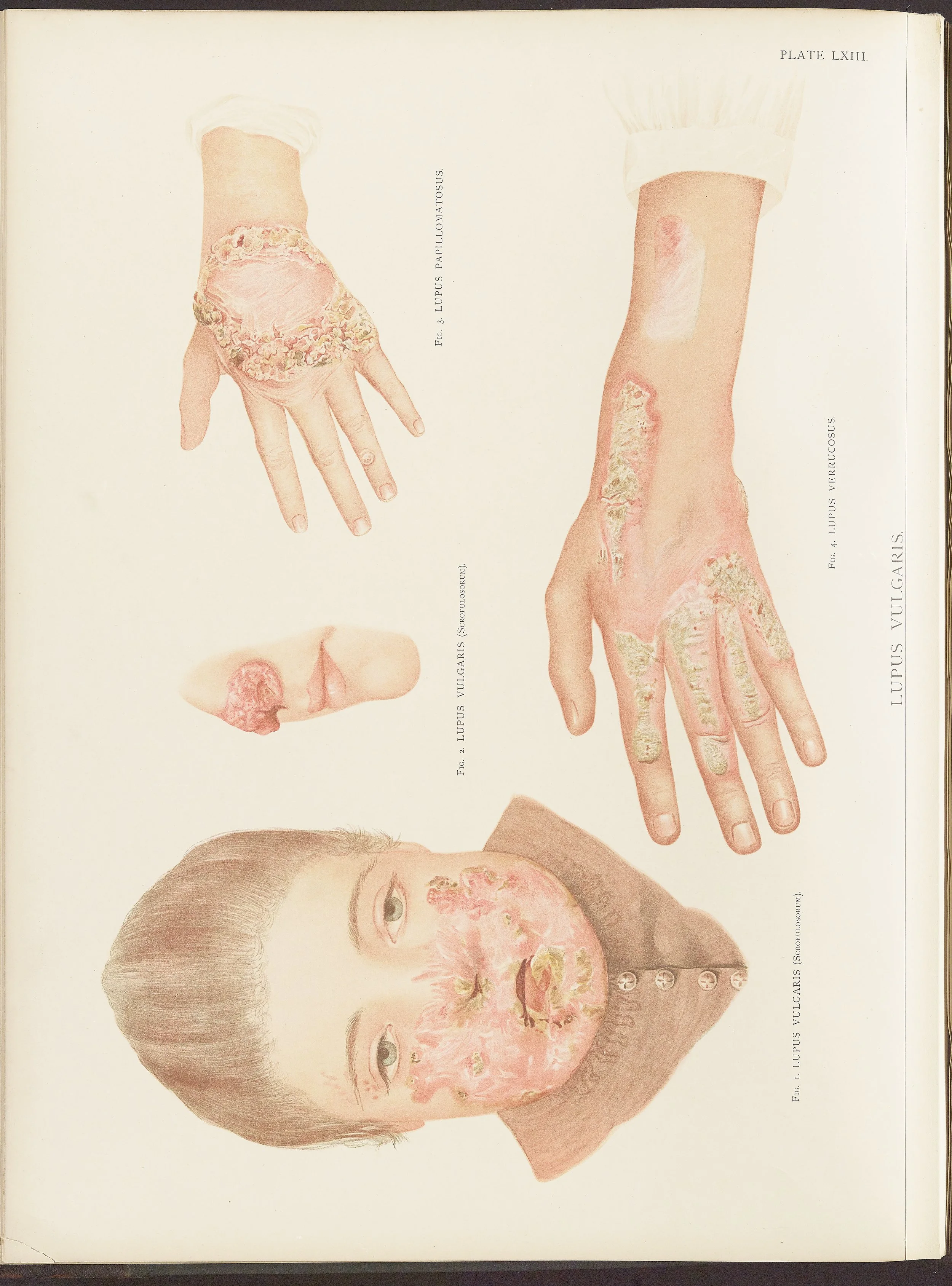 RM0164(Vol.ii)_50.jpg