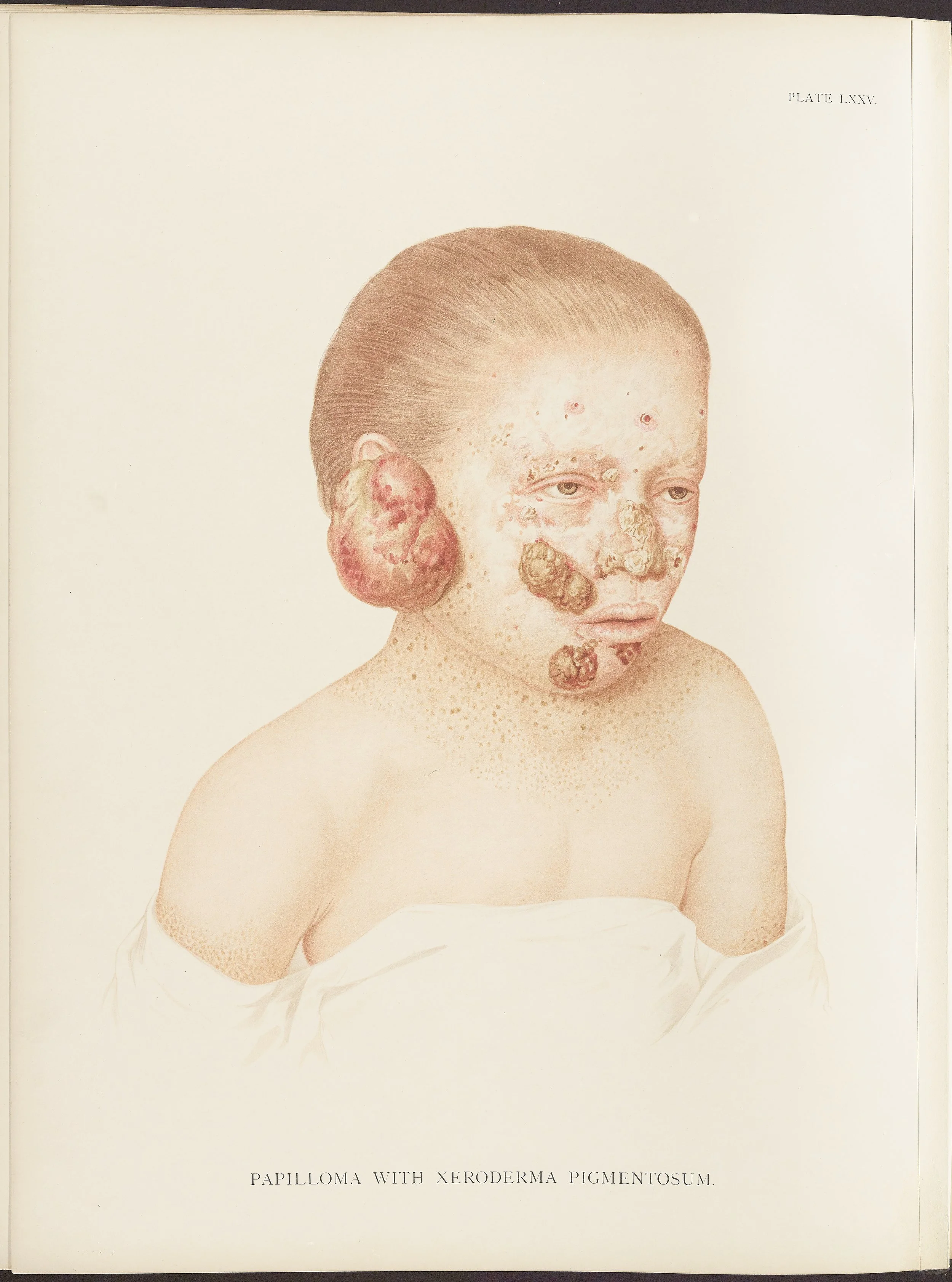 RM0164(Vol.ii)_88.jpg