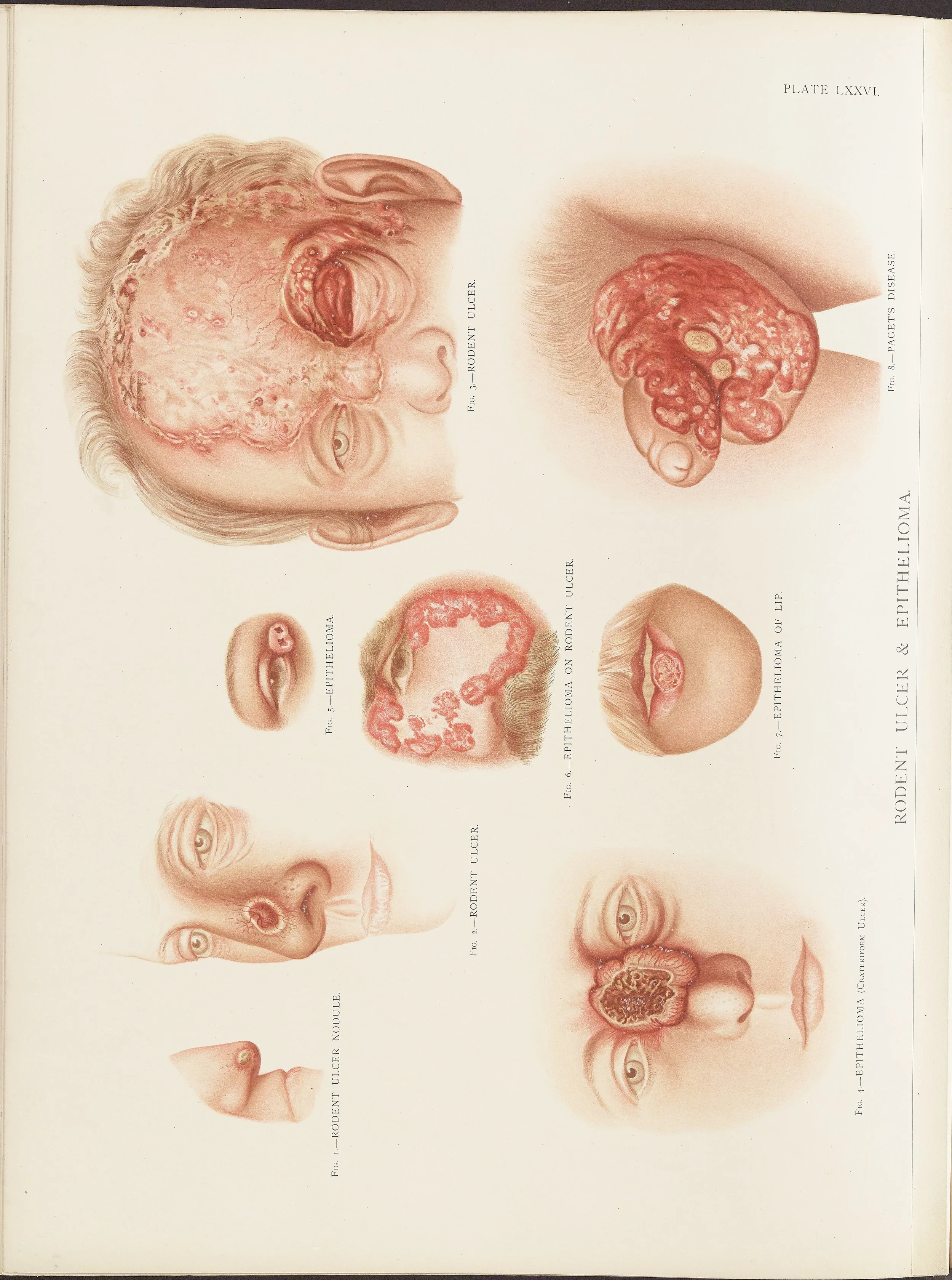 RM0164(Vol.ii)_92.jpg