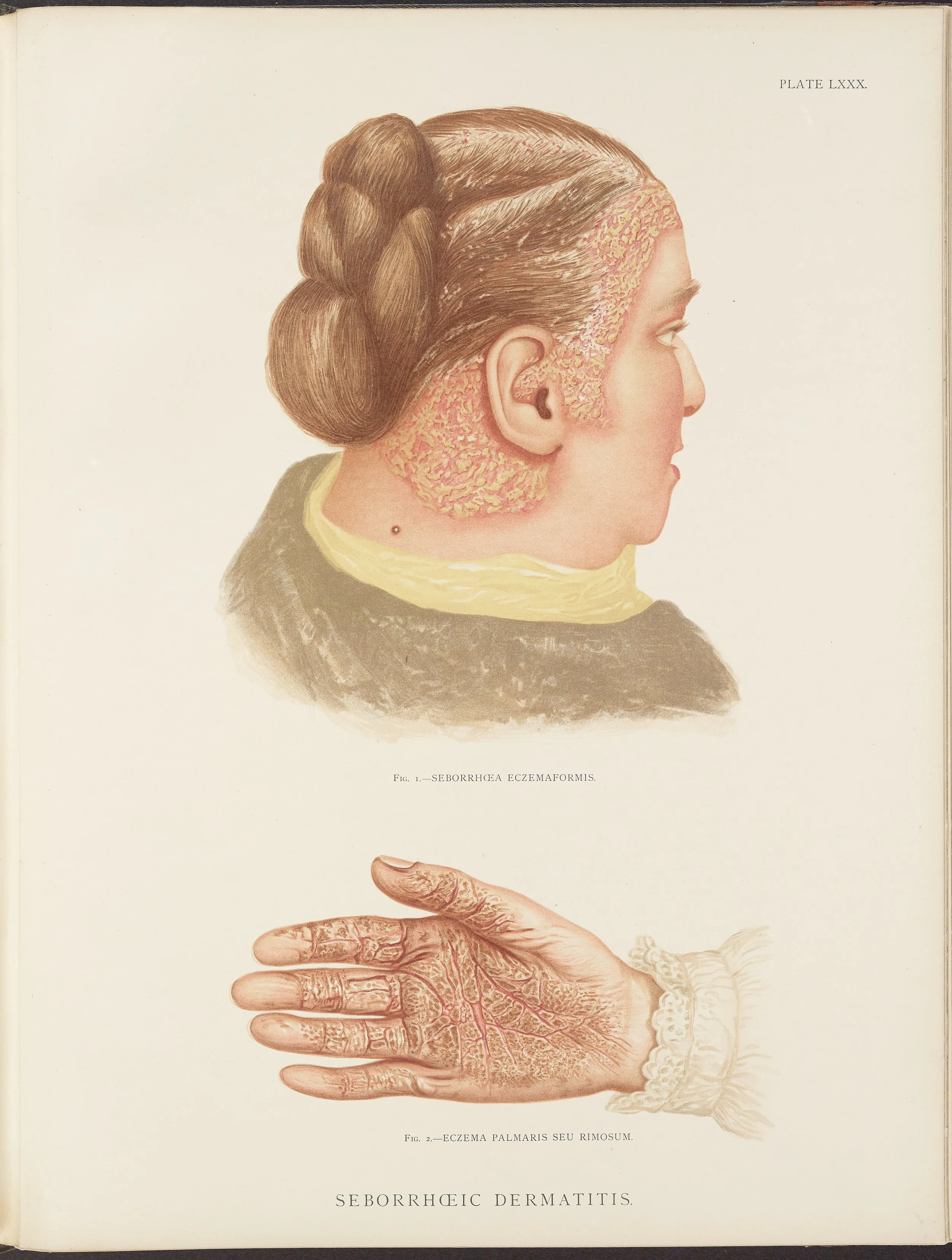 RM0164(Vol.ii)_109.jpg