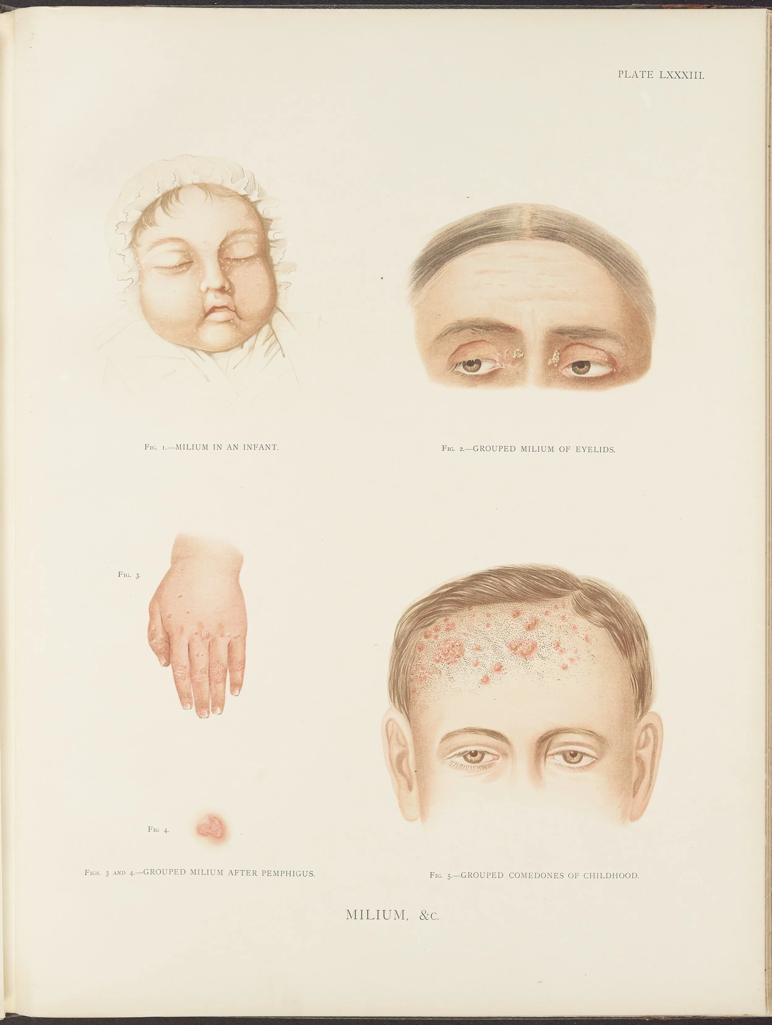RM0164(Vol.ii)_115.jpg