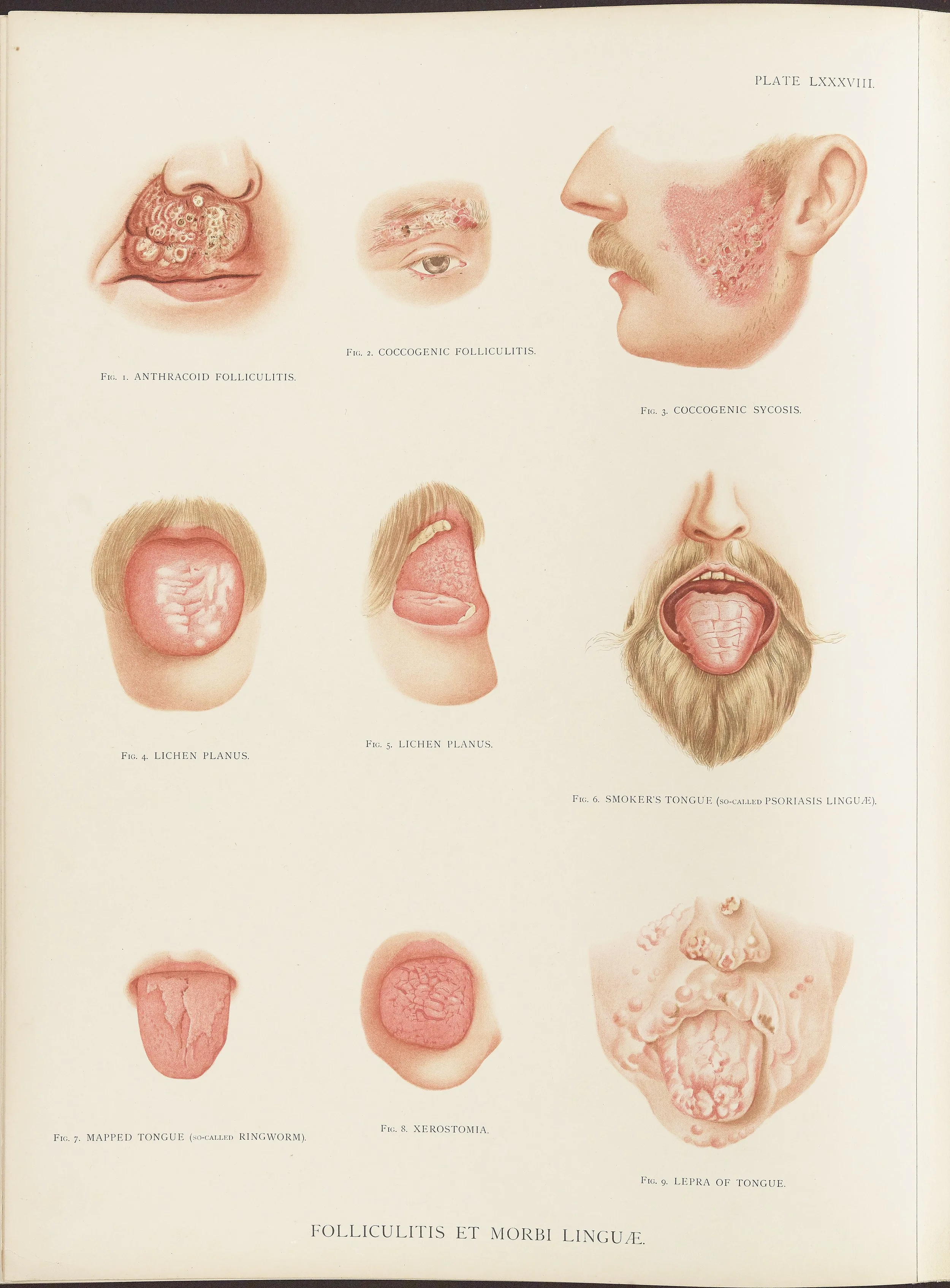 RM0164(Vol.ii)_128.jpg