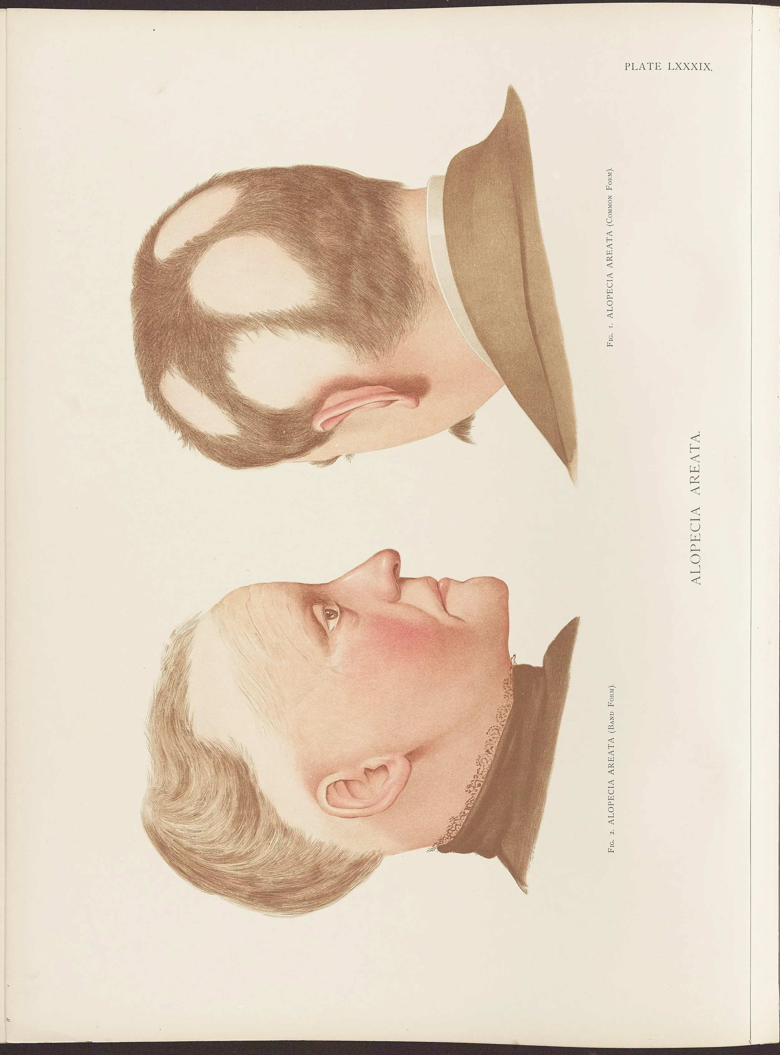 RM0164(Vol.ii)_132.jpg