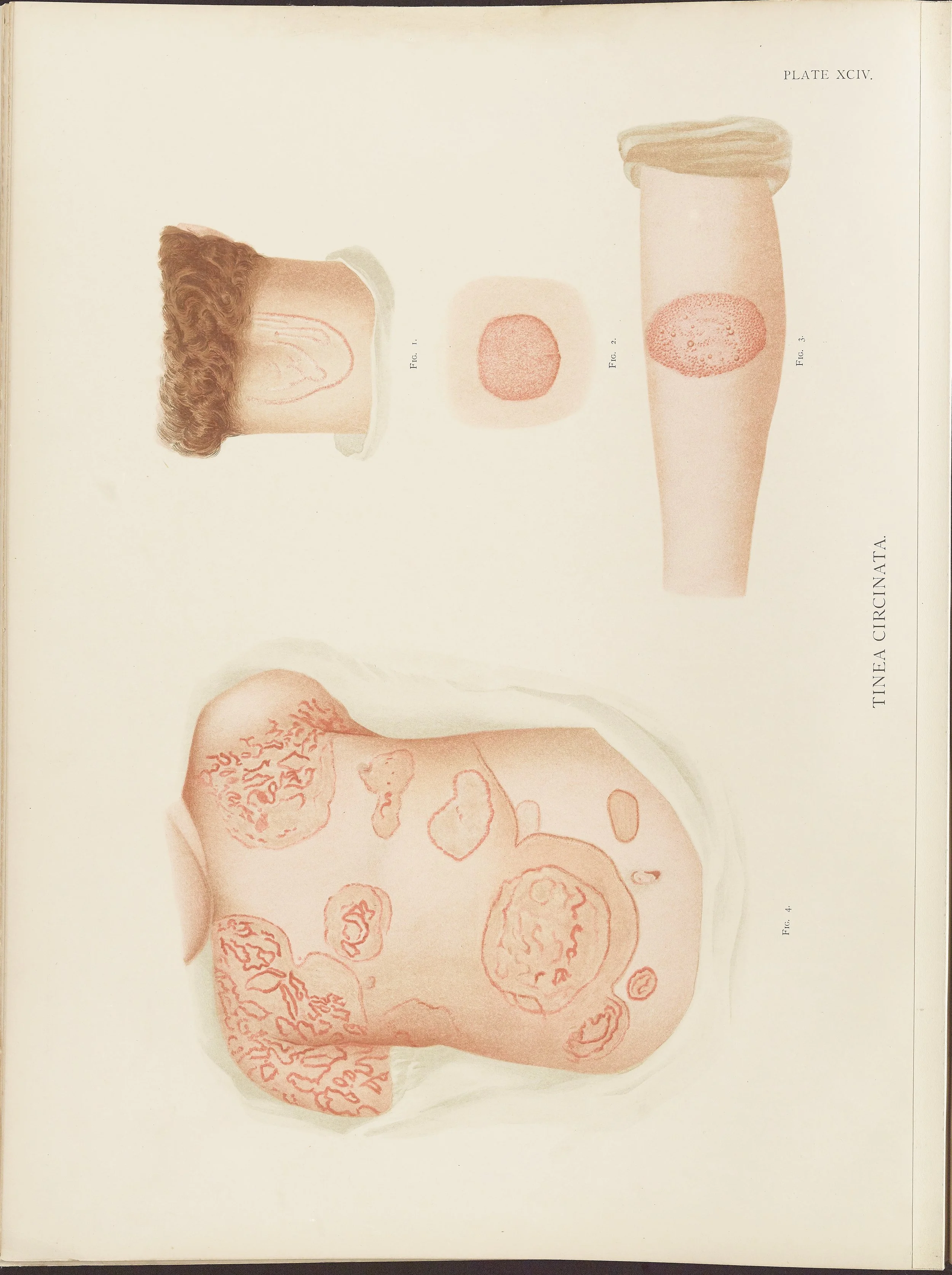 RM0164(Vol.ii)_148.jpg
