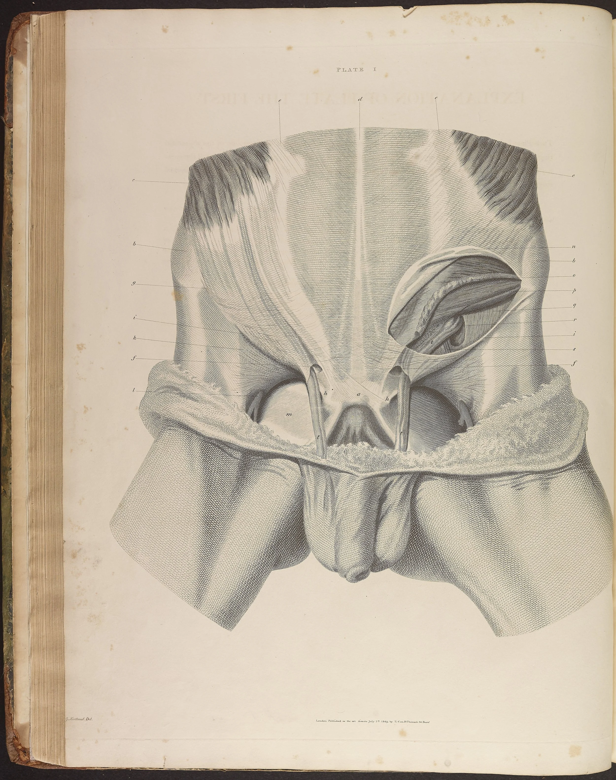 RM1481_164.jpg