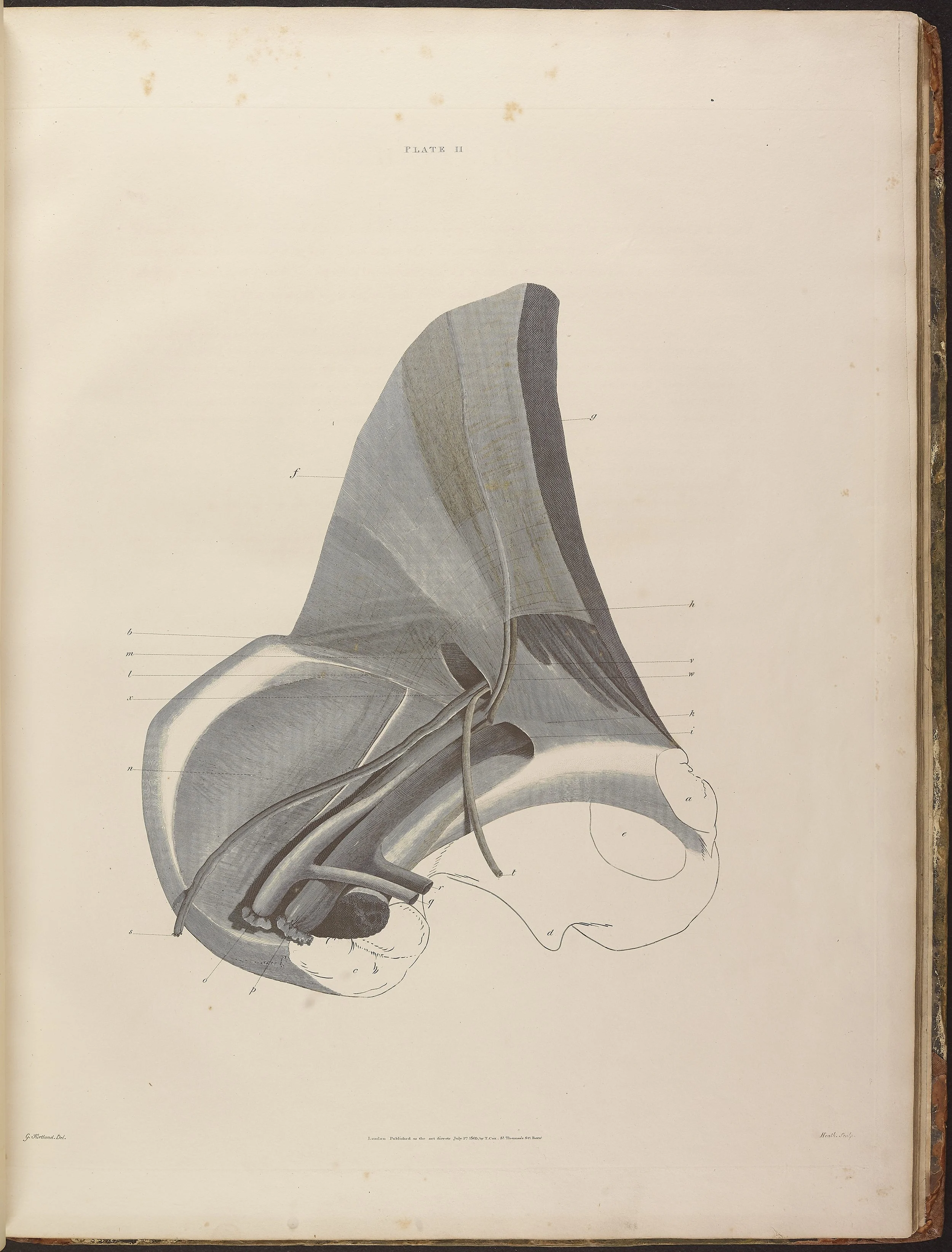 RM1481_167.jpg
