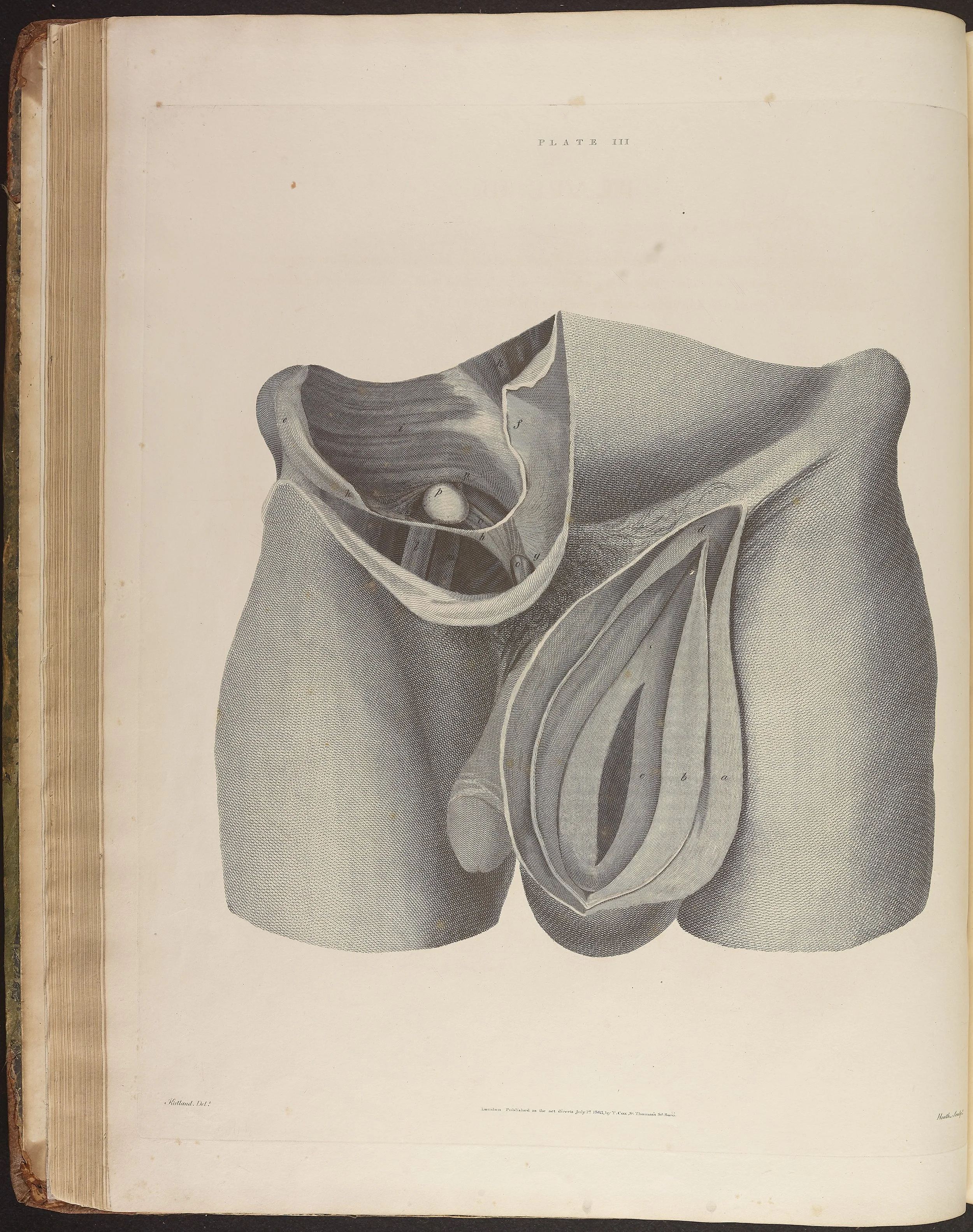 RM1481_168.jpg