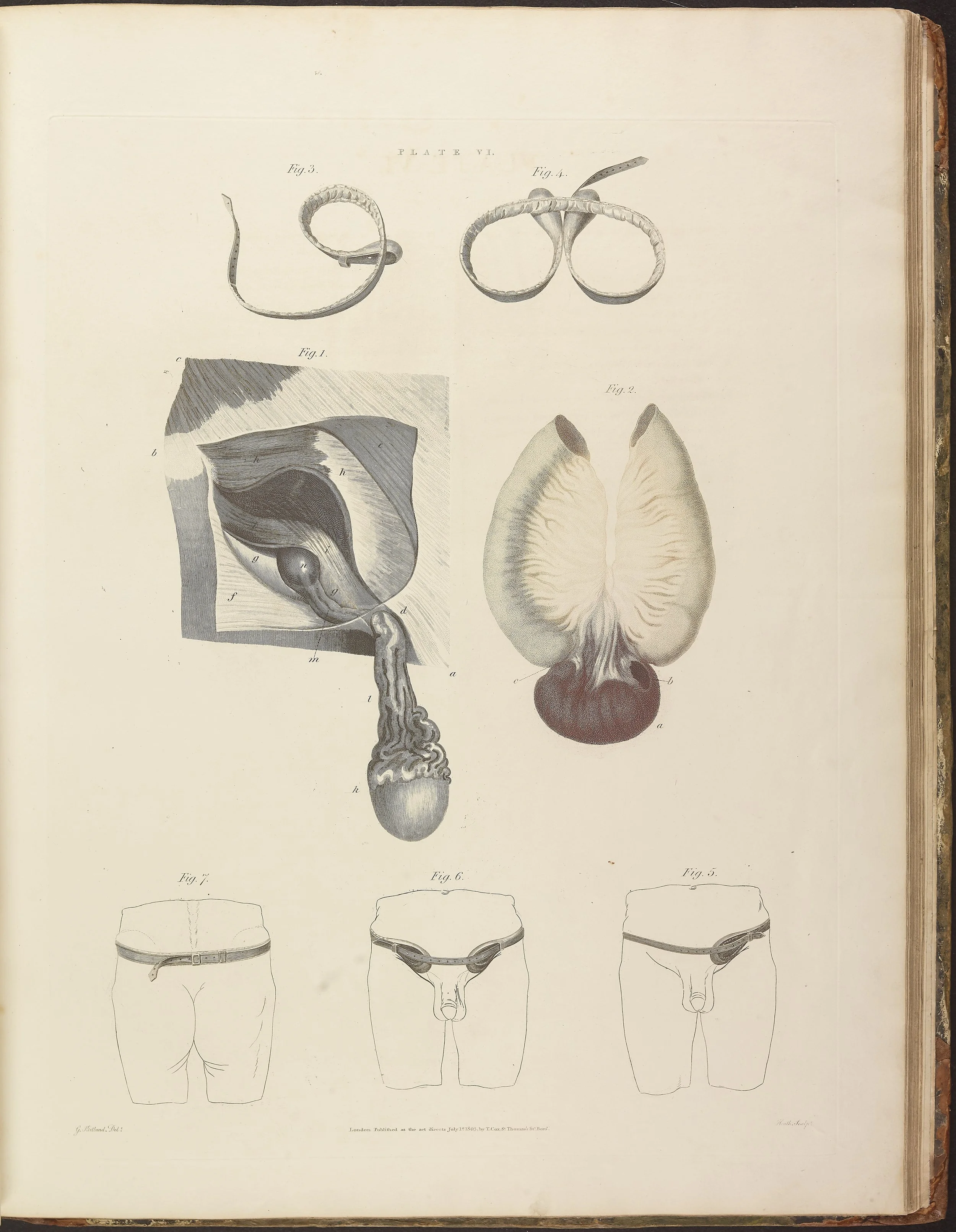 RM1481_177.jpg