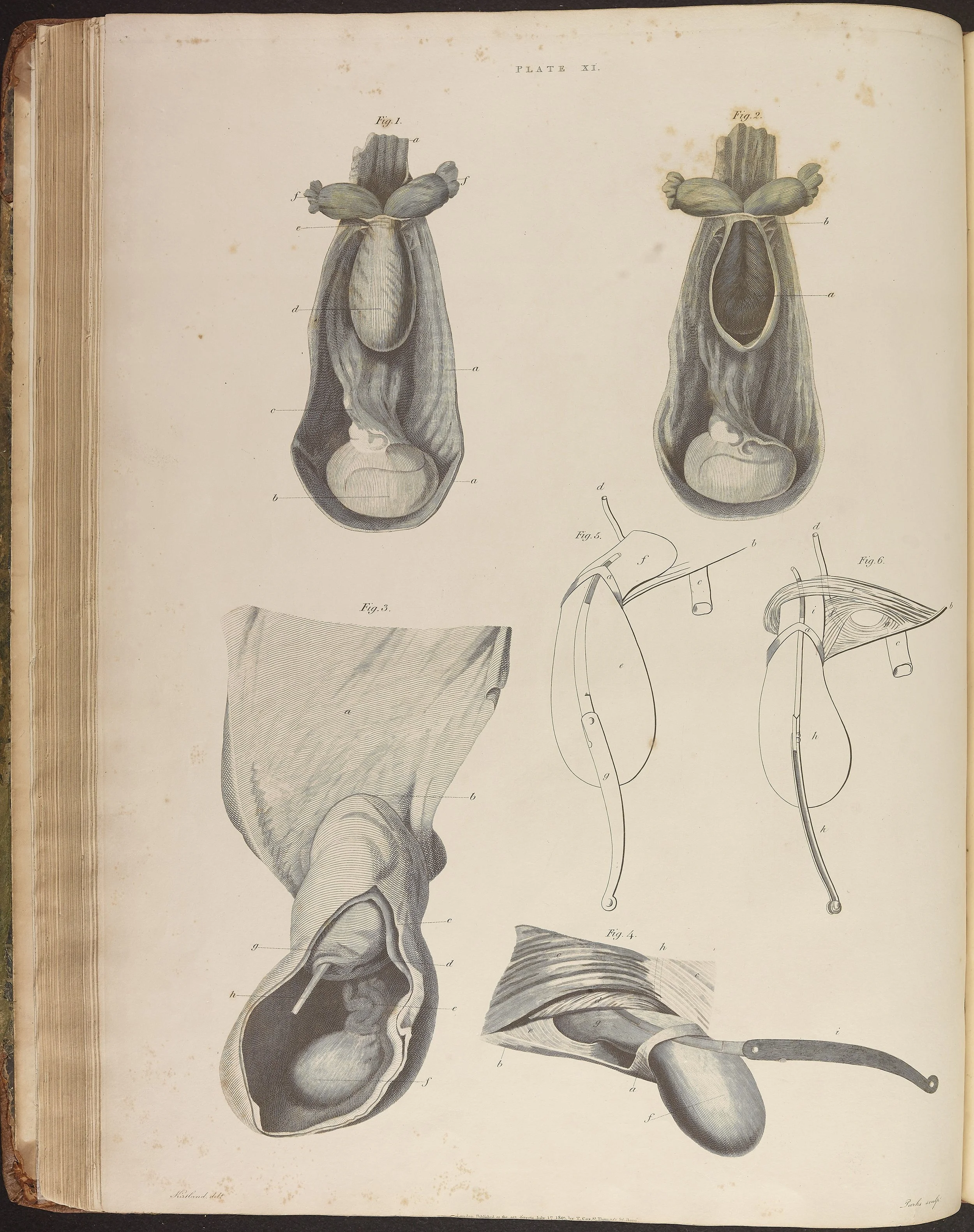 RM1481_186.jpg