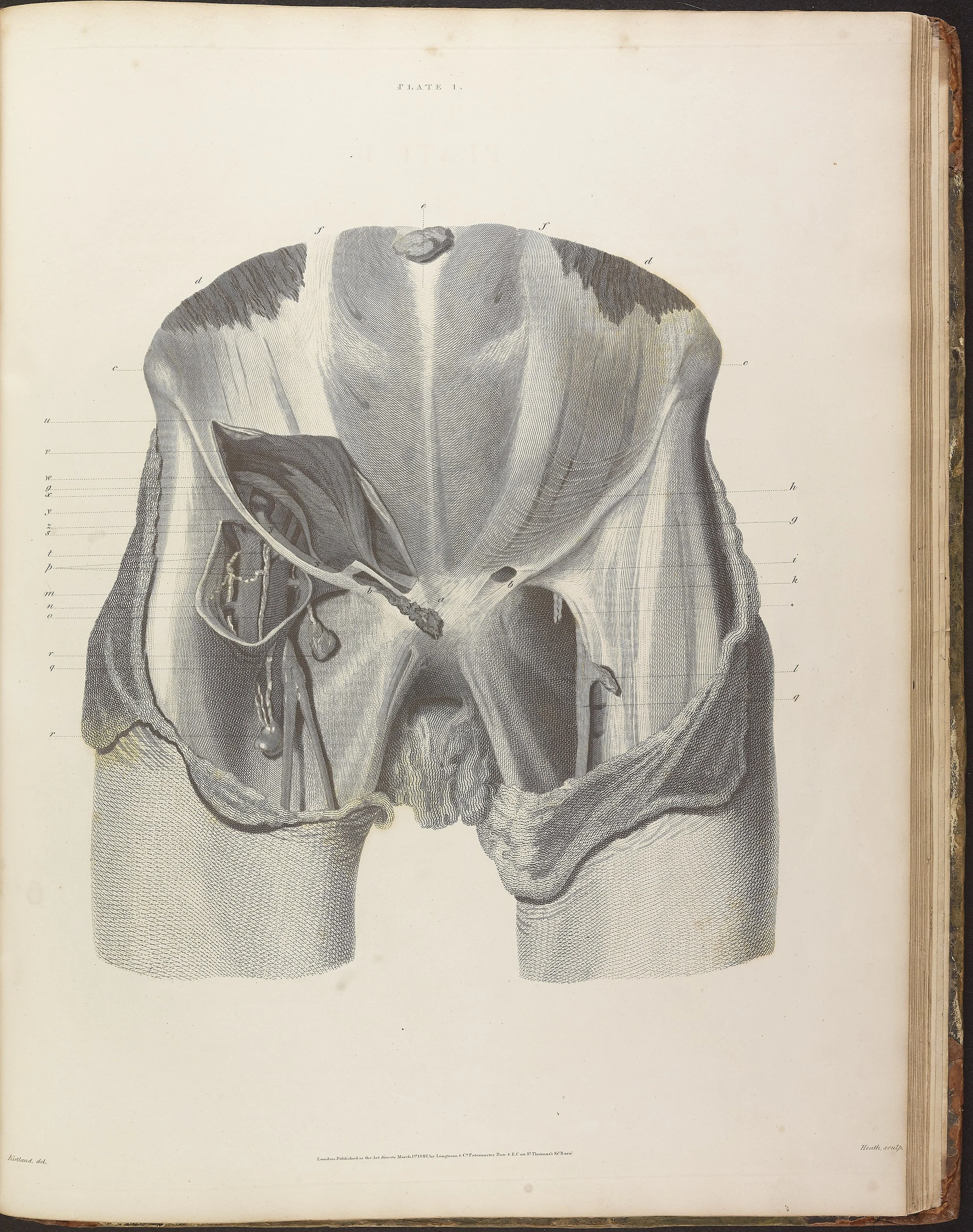 RM1481_189.jpg