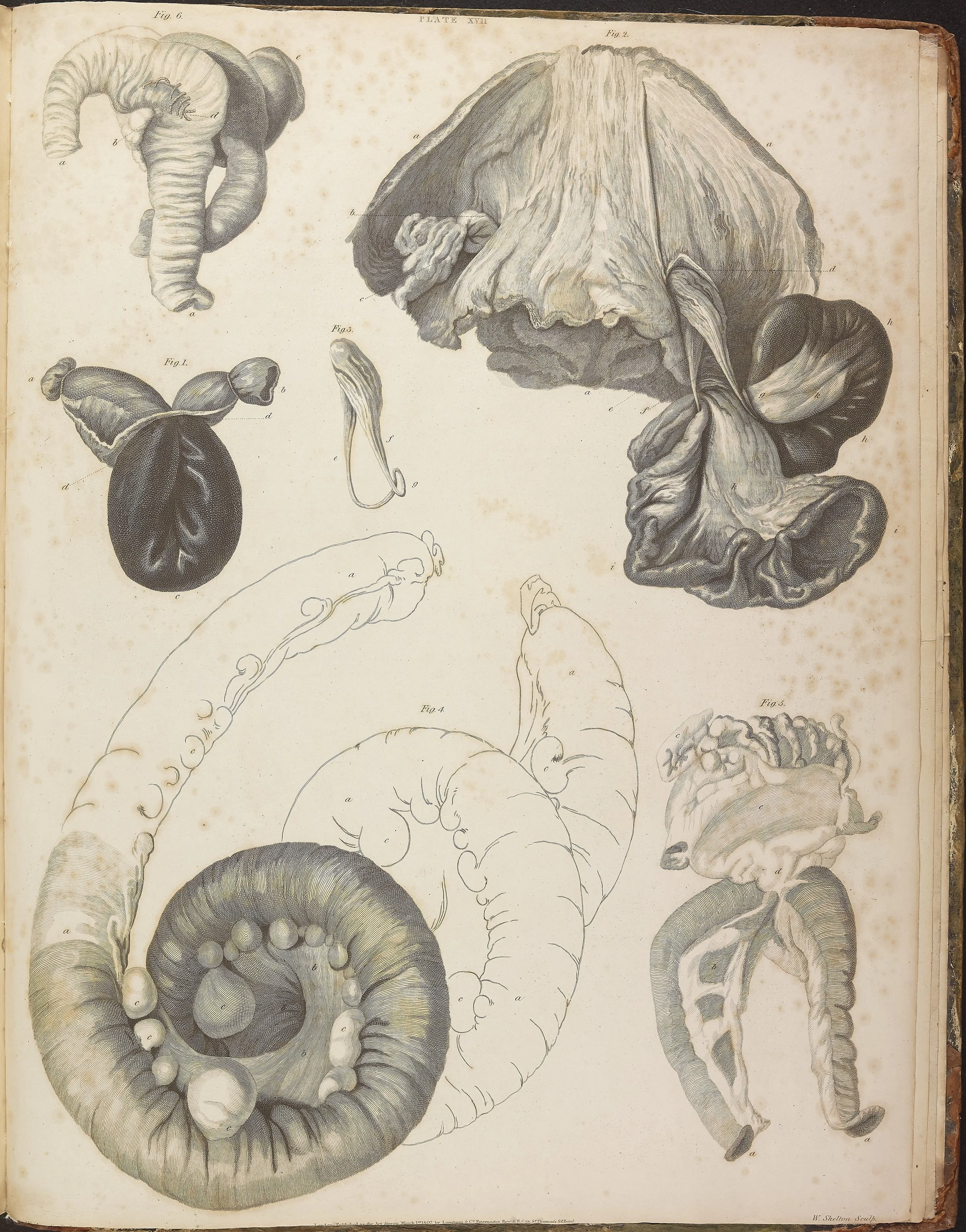 RM1481_221.jpg