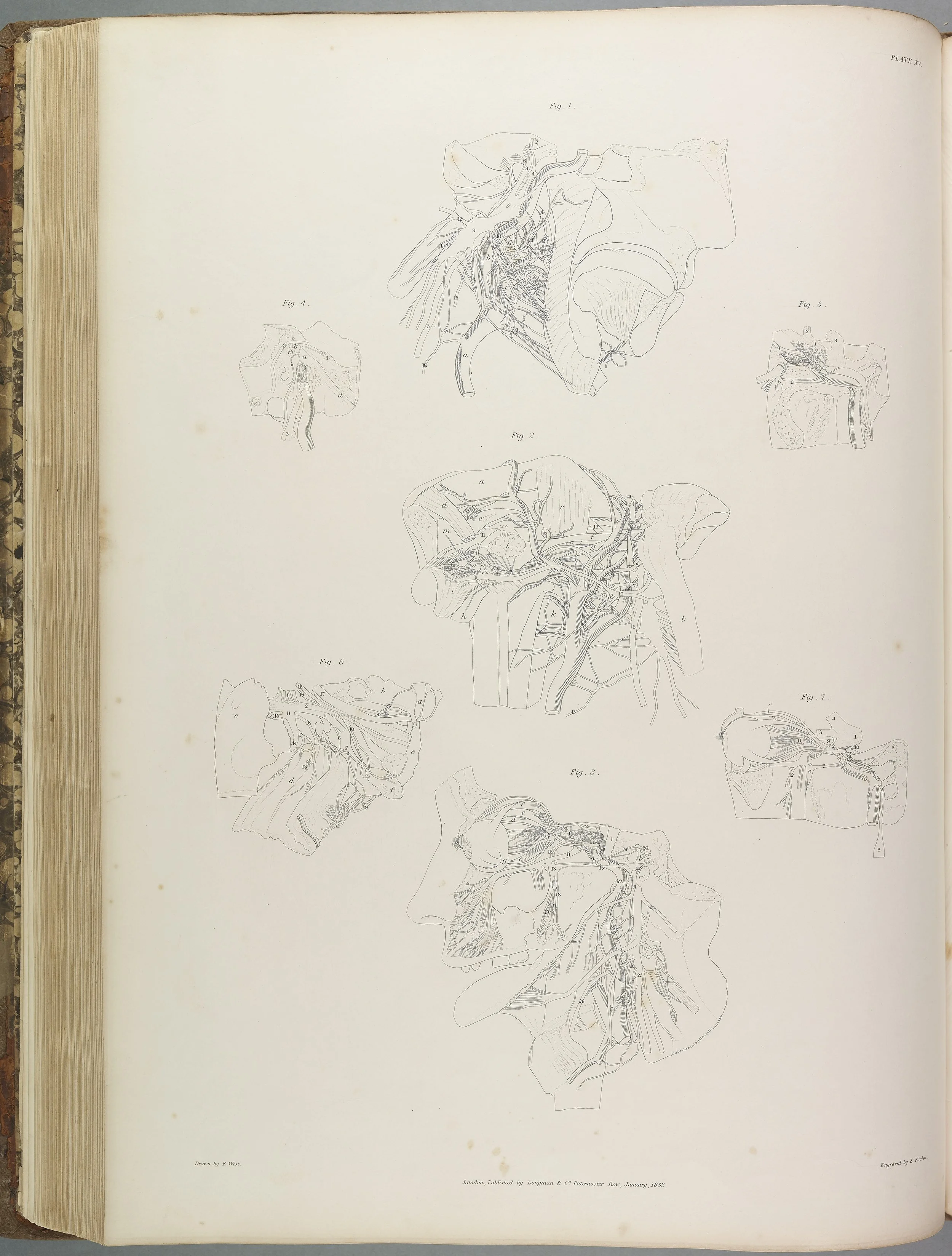 RM1482_105.jpg