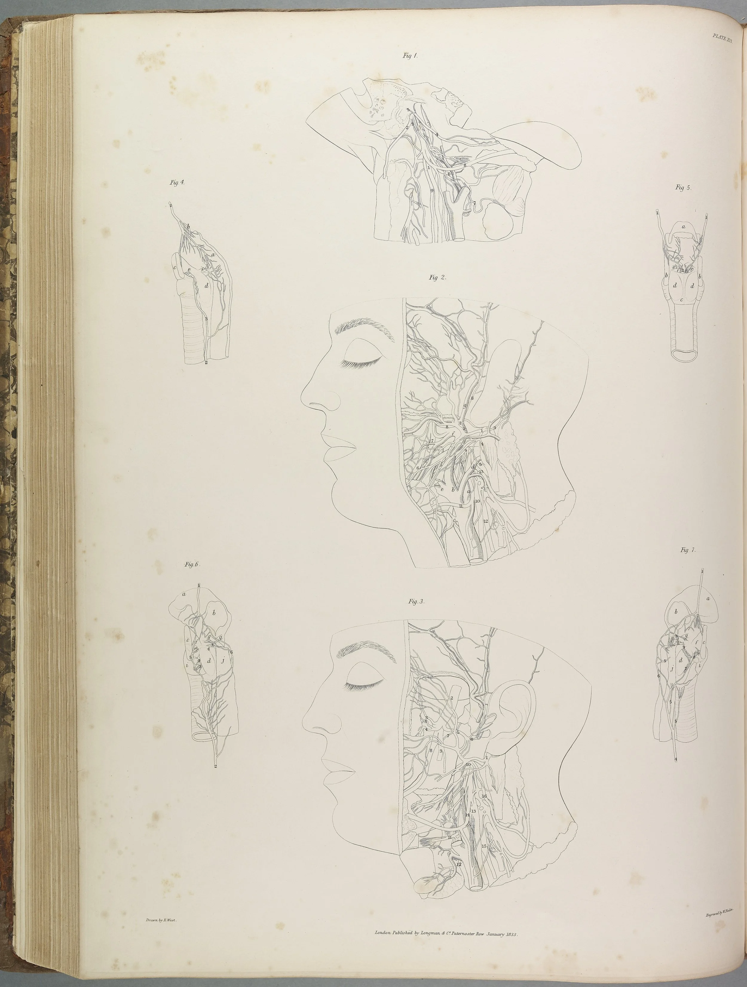 RM1482_109.jpg