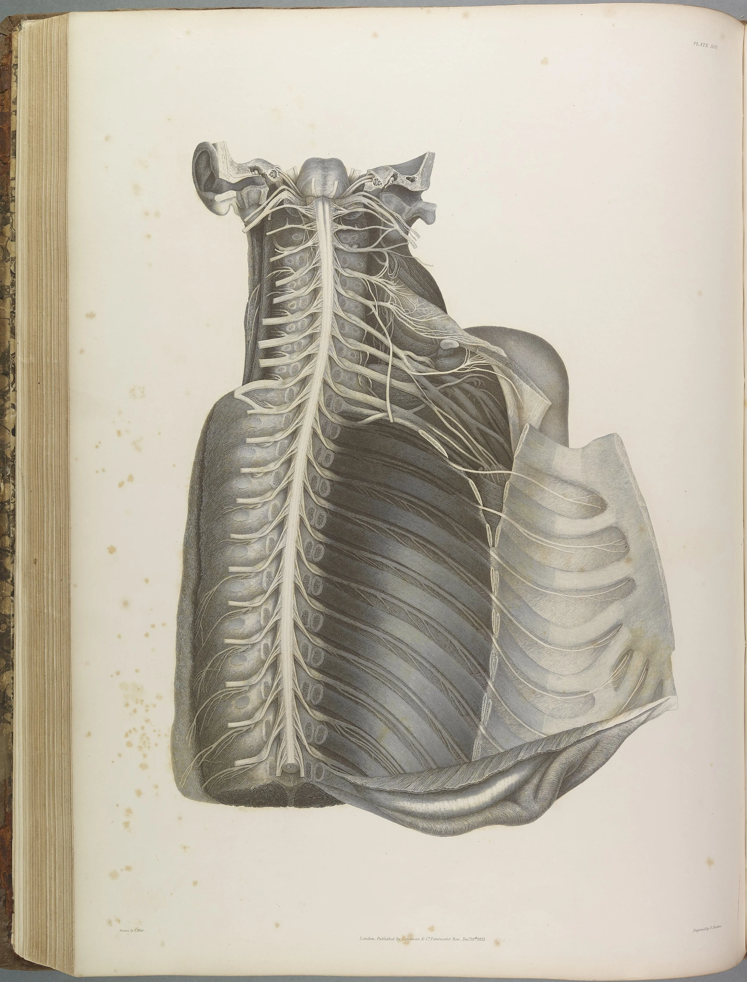 RM1482_111.jpg