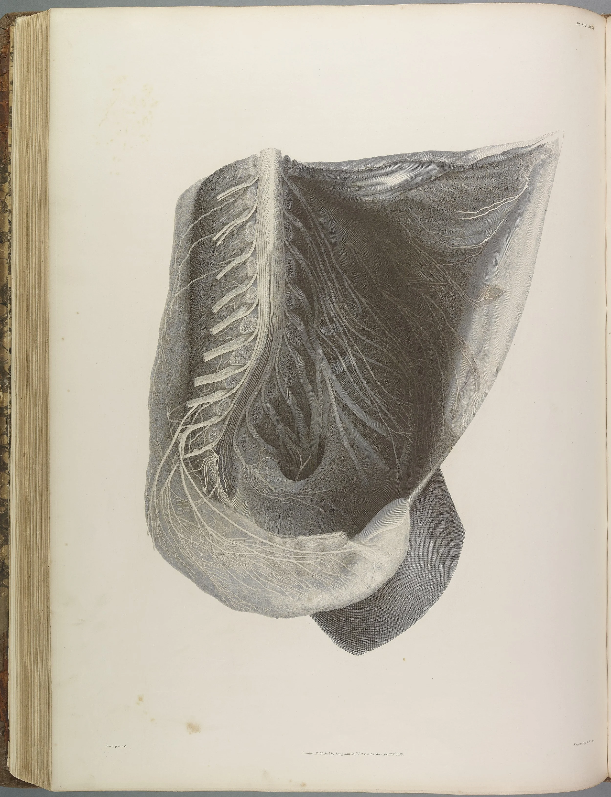 RM1482_115.jpg