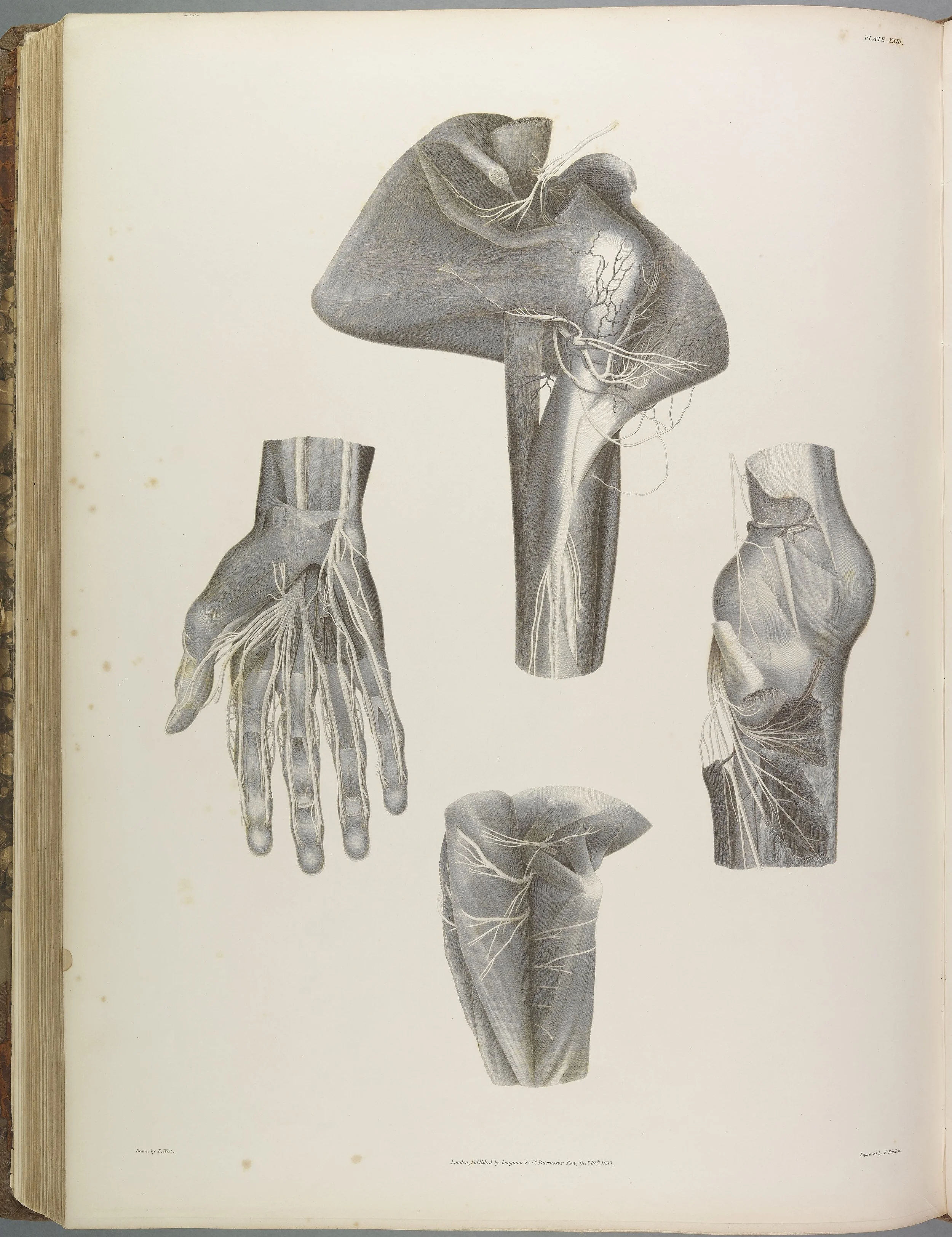 RM1482_135.jpg