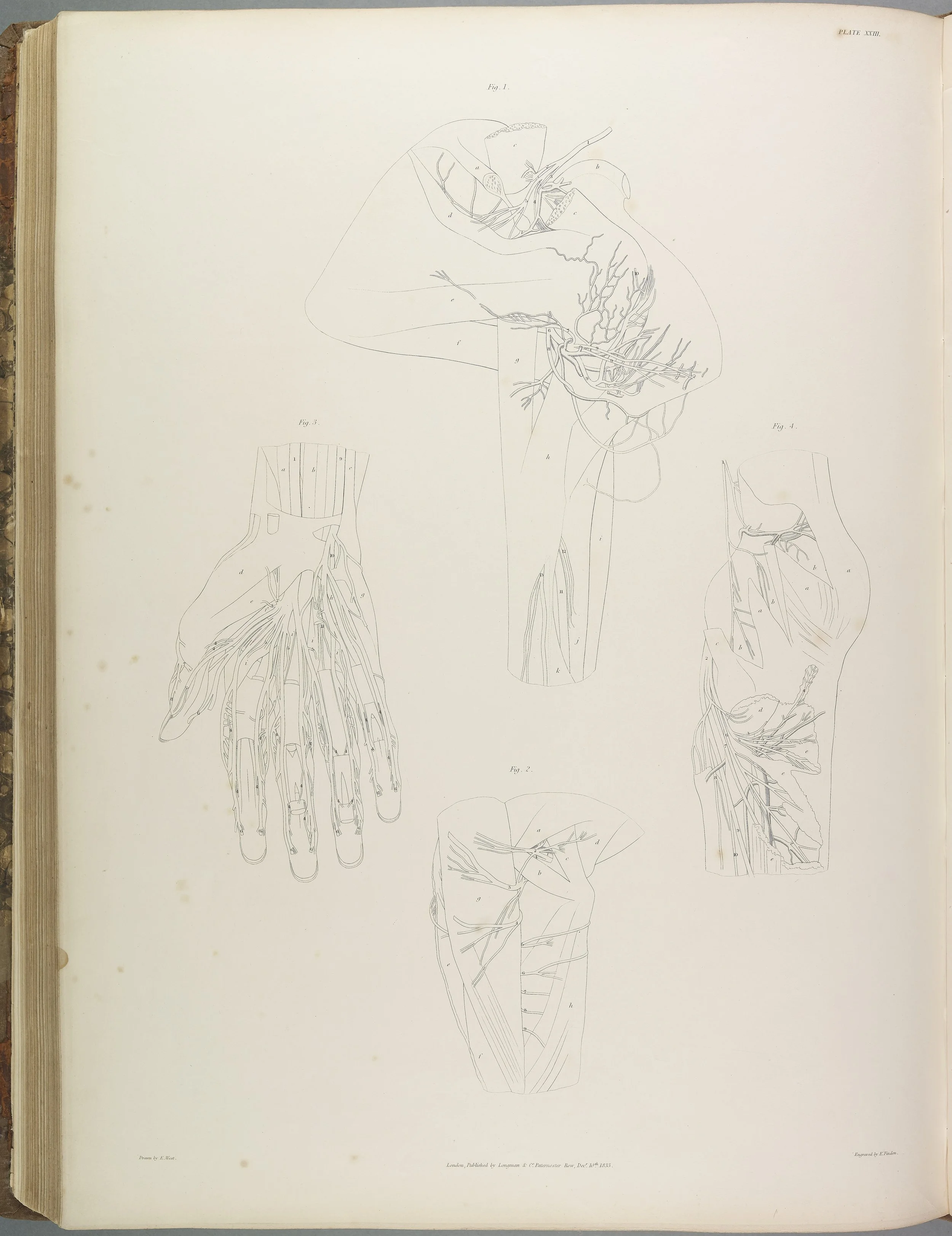 RM1482_137.jpg