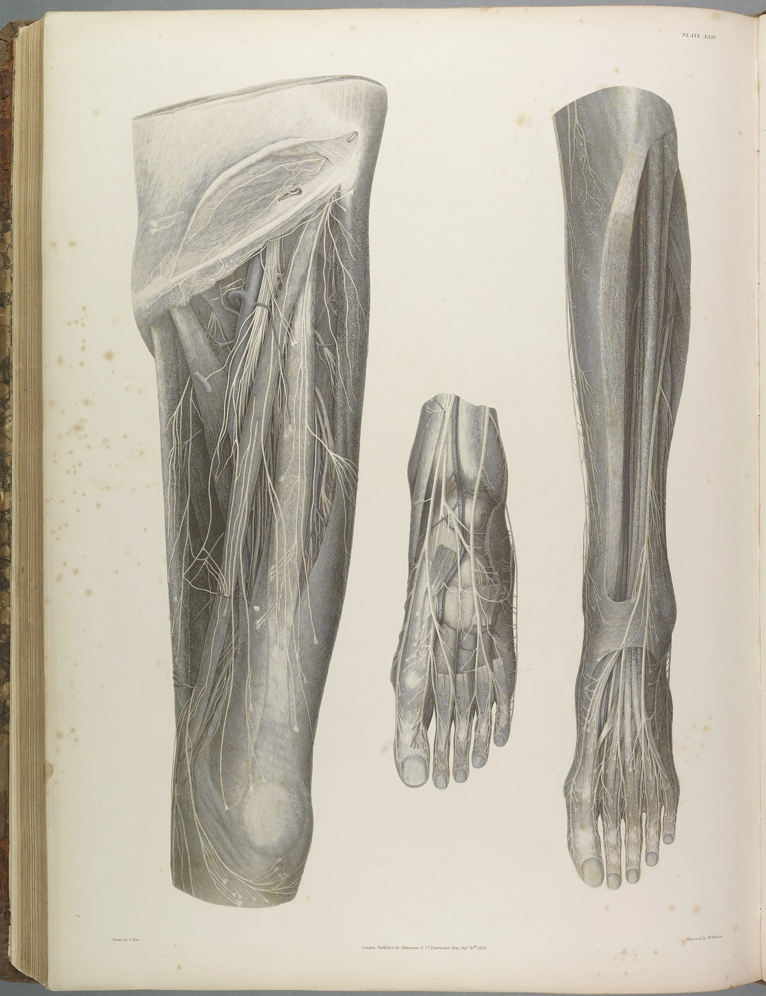 RM1482_139.jpg