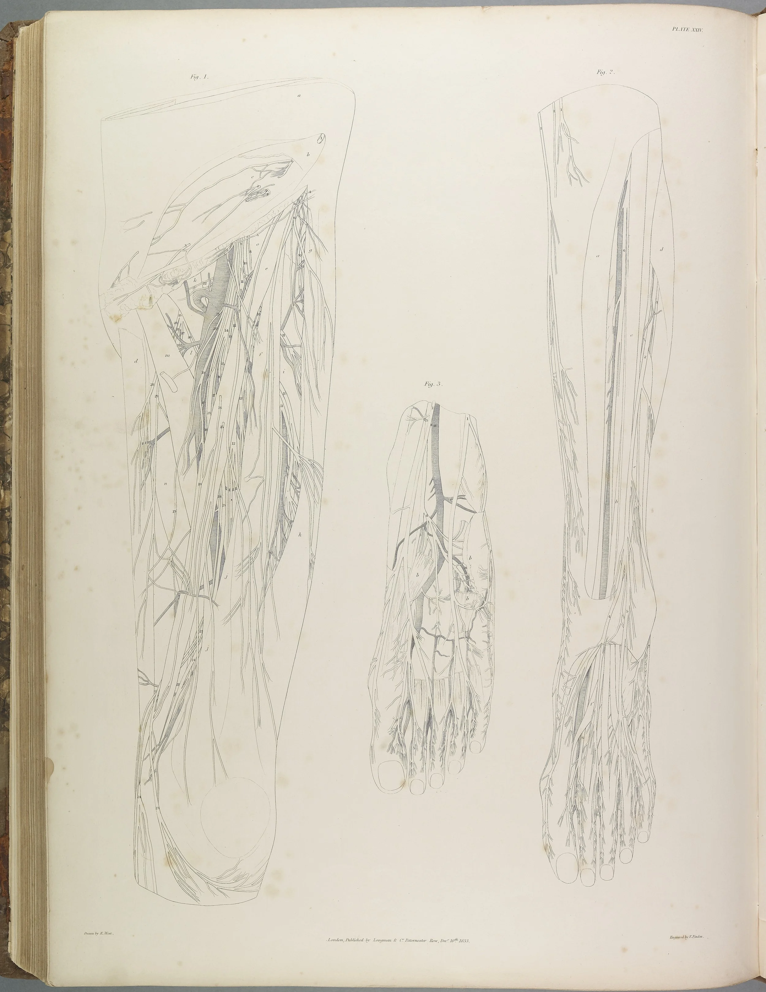 RM1482_141.jpg