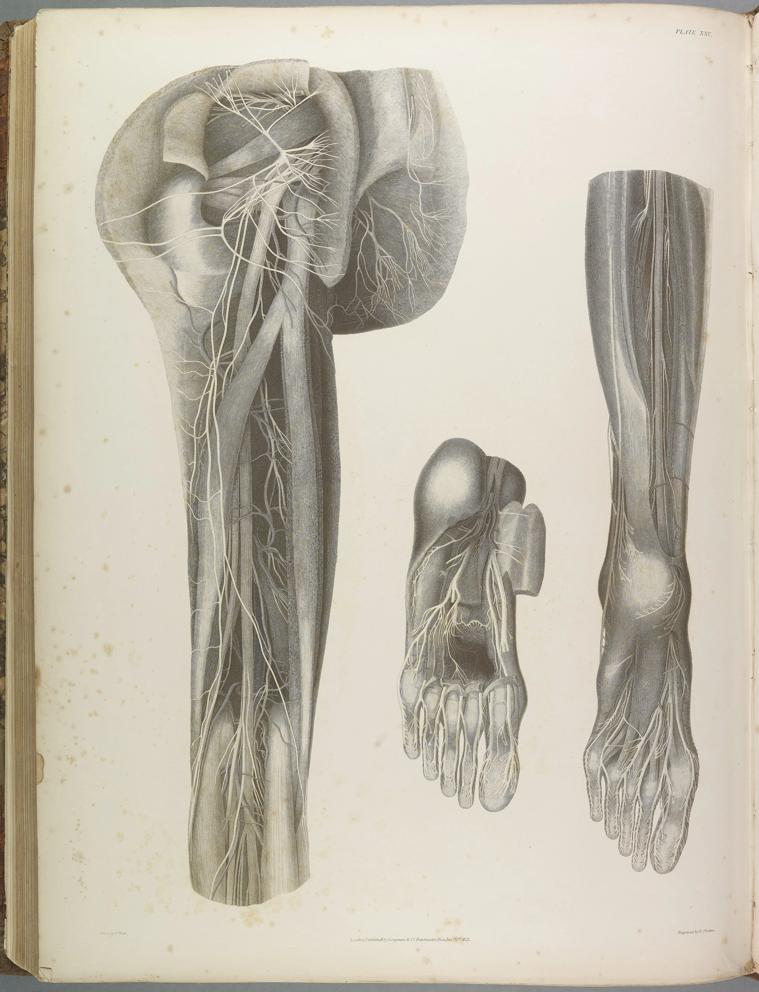 RM1482_143.jpg