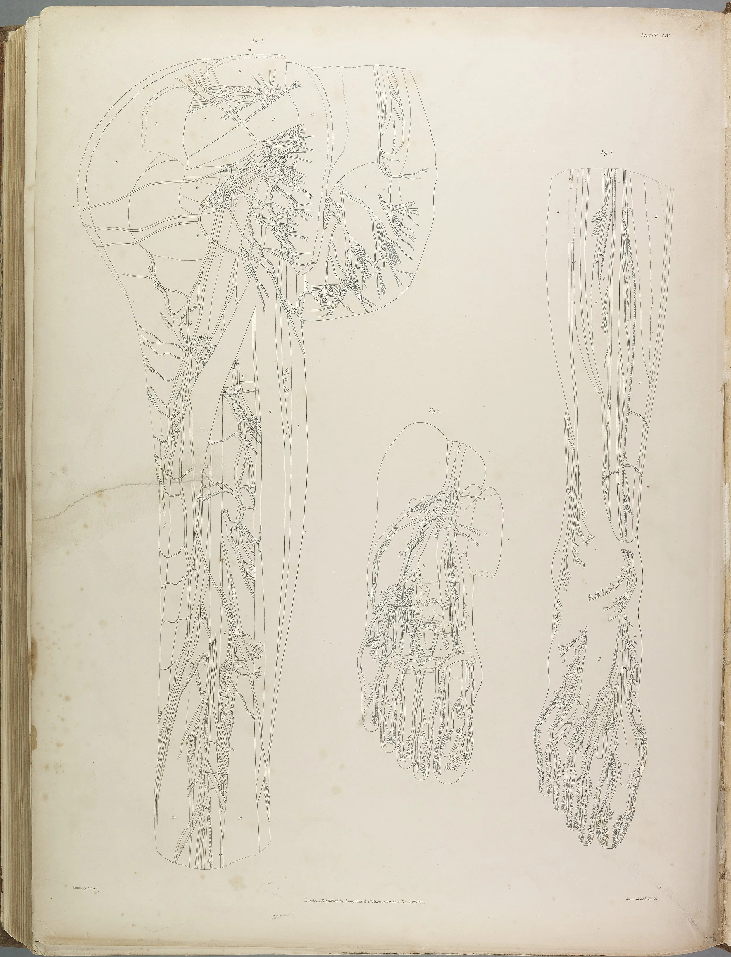 RM1482_145.jpg