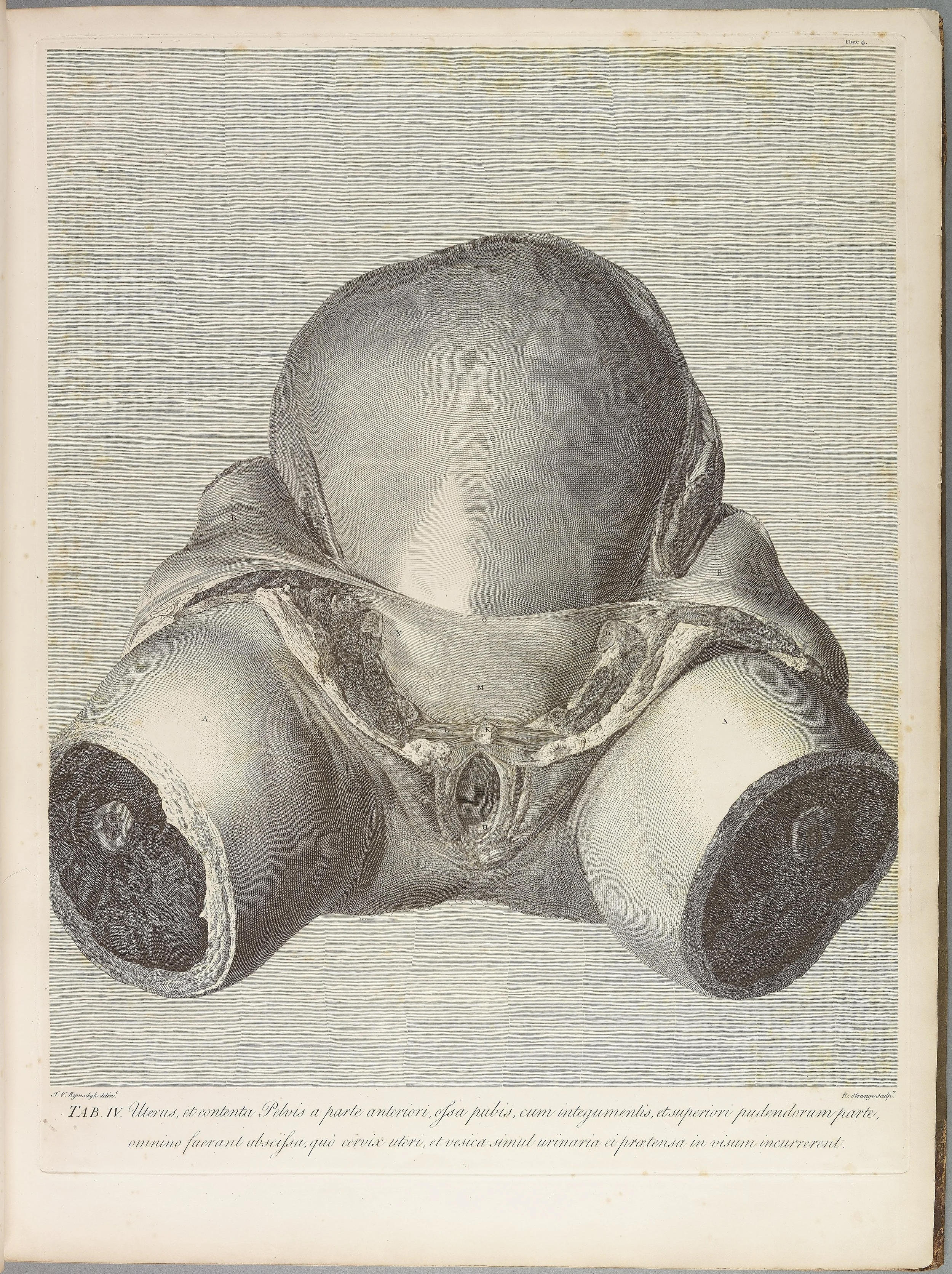RM1483_008R.jpg